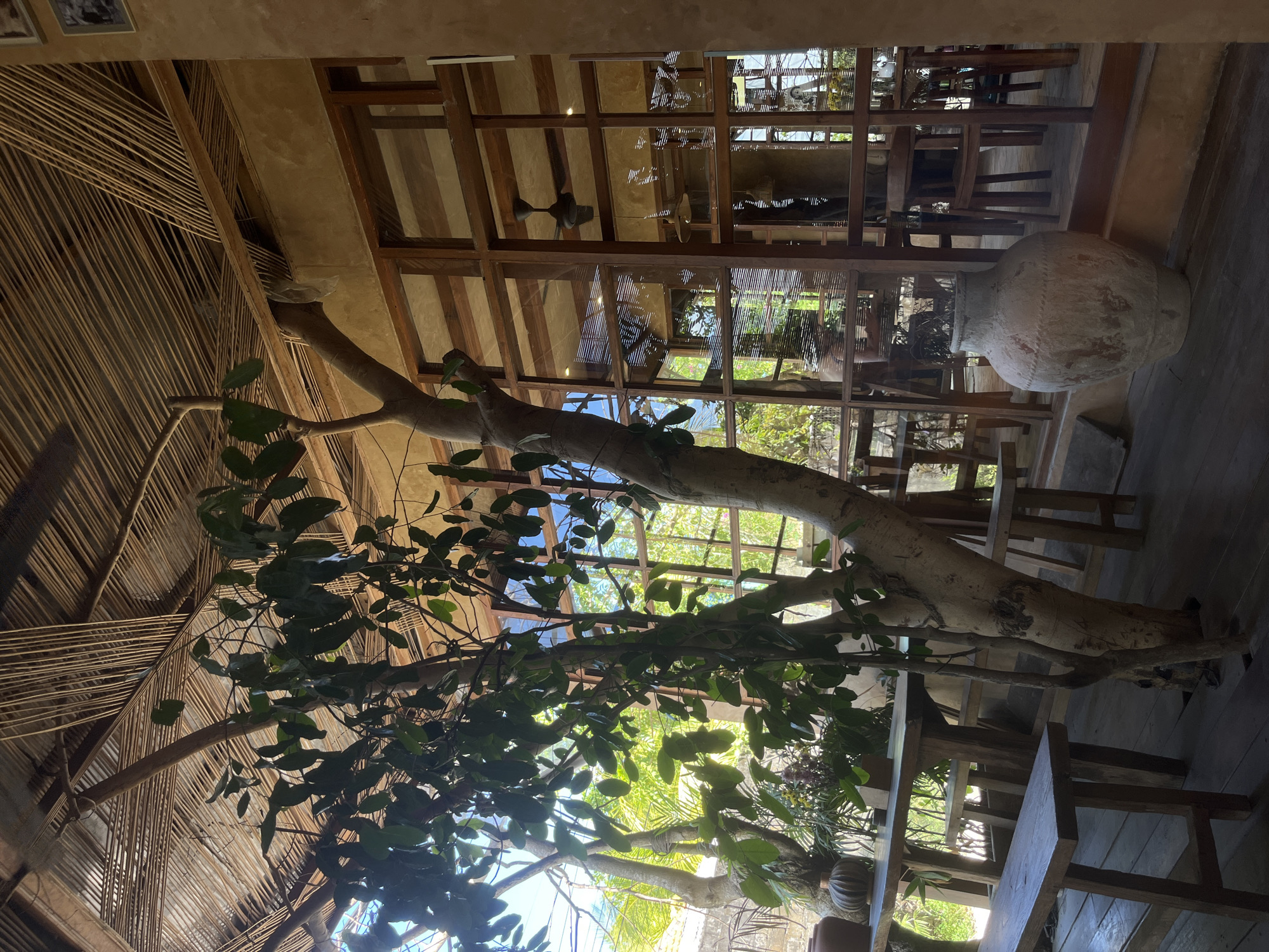 This indoor shot captures the interior of a structure in Kuta Selatan, Indonesia. A prominent feature is a tree trunk, centrally positioned and bearing green leaves. The trunk stretches horizontally across the frame.
Above, a wooden frame construction forms the ceiling. Within the wooden frame, transparent panels allow a view of the sky and surrounding vegetation. The structure contains multiple tables and chairs. An oversized clay vase is visible. The left side features a ceiling with a woven bamboo design.