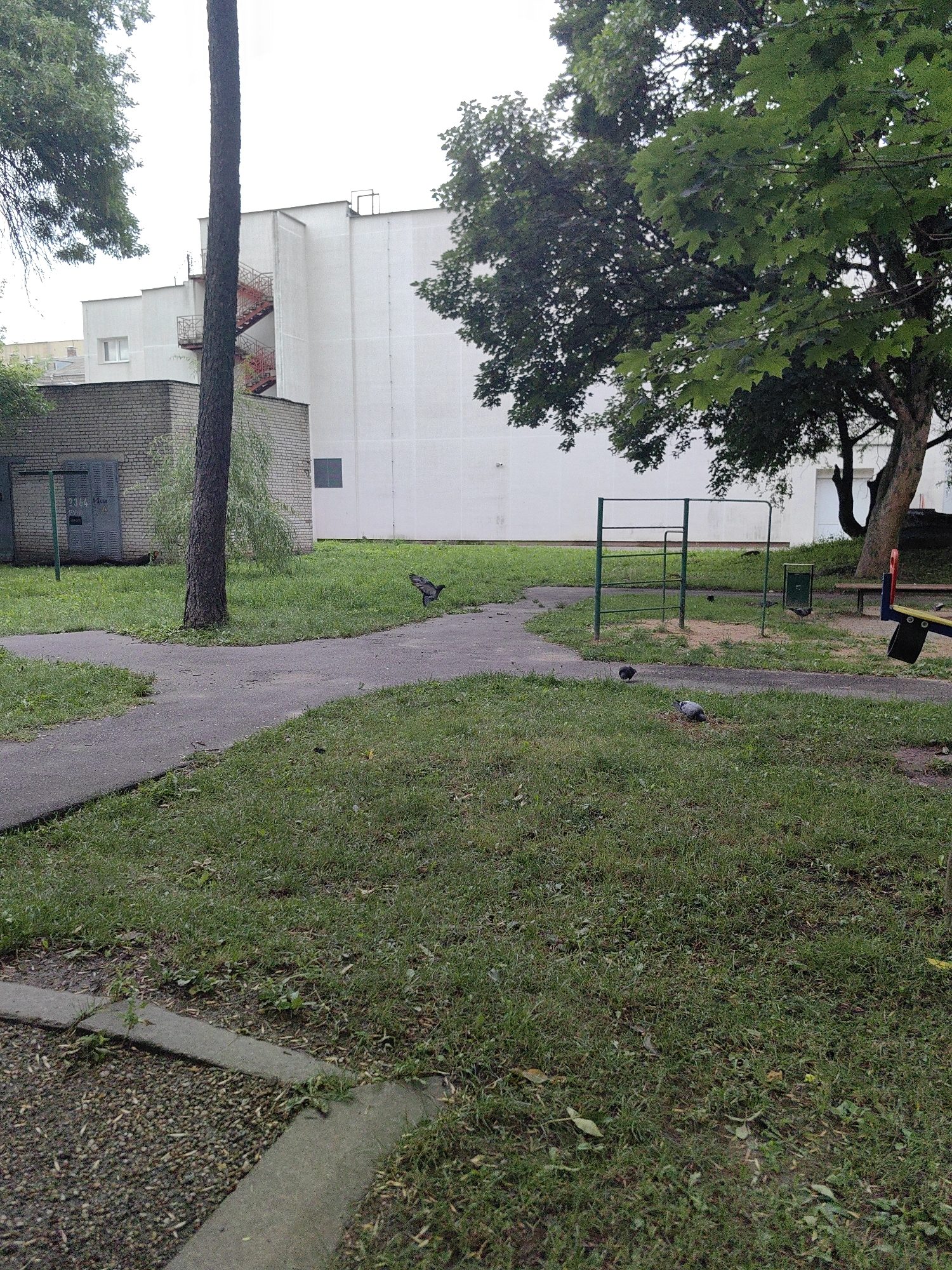 The image captures a scene in a courtyard in Minsk, Belarus, on a cloudy day. The focal point is a small, poorly maintained children's playground with a green metal frame for monkey bars. In the foreground, a paved walkway curves through a grassy area. Several pigeons are present, with one in flight on the walkway and two others on the grass near the monkey bars. To the left, a grey brick building with metal doors stands adjacent to a paved area with gravel. A tall, slender tree trunk is positioned centrally in the frame, partially obscuring a white building with an external red fire escape staircase. Lush green trees with dense foliage are visible throughout the image, some framing the white building. The overall impression is one of an everyday urban setting with elements of both neglect and everyday life.