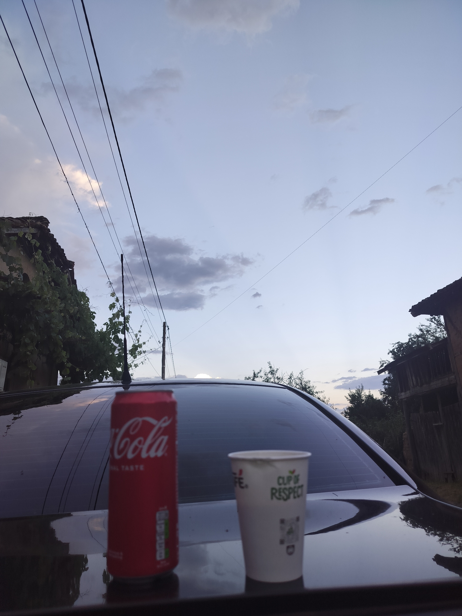 In Aleksandrovo, Bulgaria, at dusk, a Coca-Cola can and a disposable paper cup sit on the hood of a car, positioned on a dark, reflective surface. The car's rear window is visible behind the objects. Overhead, power lines stretch across a pale sky dotted with scattered clouds. To the left, a building covered in green vines and a tall antenna are visible. To the right, a weathered wooden structure with a dark roof stands amongst trees. The overall scene suggests an outdoor setting at the end of the day.