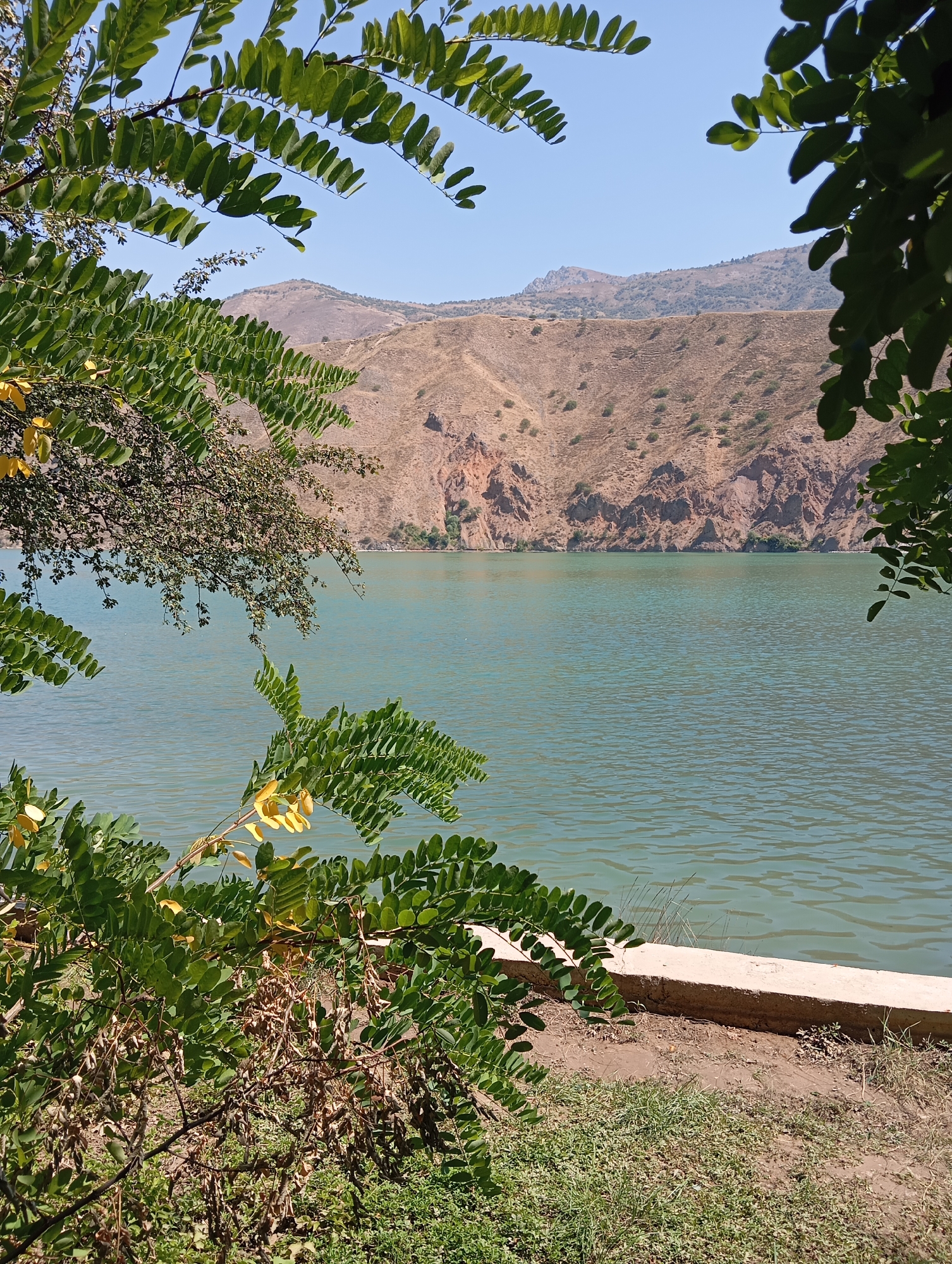 A body of water is visible, with a mountainous landscape in the background. The foreground is dominated by lush green foliage, with some dried seed pods hanging from branches. The water has a greenish hue and appears calm, with small ripples on its surface. A concrete embankment lines the edge of the water, separating it from the grassy and sandy ground. The mountains are arid and rocky, with sparse vegetation. The sky is clear and blue. The scene suggests a natural setting, possibly a reservoir or lake, located in the vicinity of Yangikurgan, Uzbekistan, given the characteristic arid mountainous terrain.