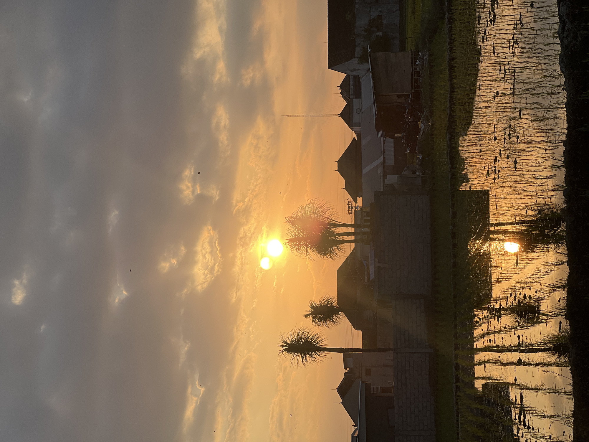 The image depicts a serene sunset over a rural landscape in Mengwi, Indonesia. The sky is a canvas of warm oranges and yellows, with scattered clouds casting subtle shadows. The sun, appearing as two bright orbs due to lens flare, casts a warm glow over the scene. Silhouetted against the vibrant sky are several palm trees, their fronds swaying gently. In the mid-ground, the rooftops of houses are visible, interspersed with a tall radio tower. The foreground is dominated by a flooded rice paddy, reflecting the sky and the surrounding structures. The water in the paddy is calm, with young rice plants emerging from the murky depths. The overall atmosphere is peaceful and tranquil, capturing the essence of rural life at dusk.