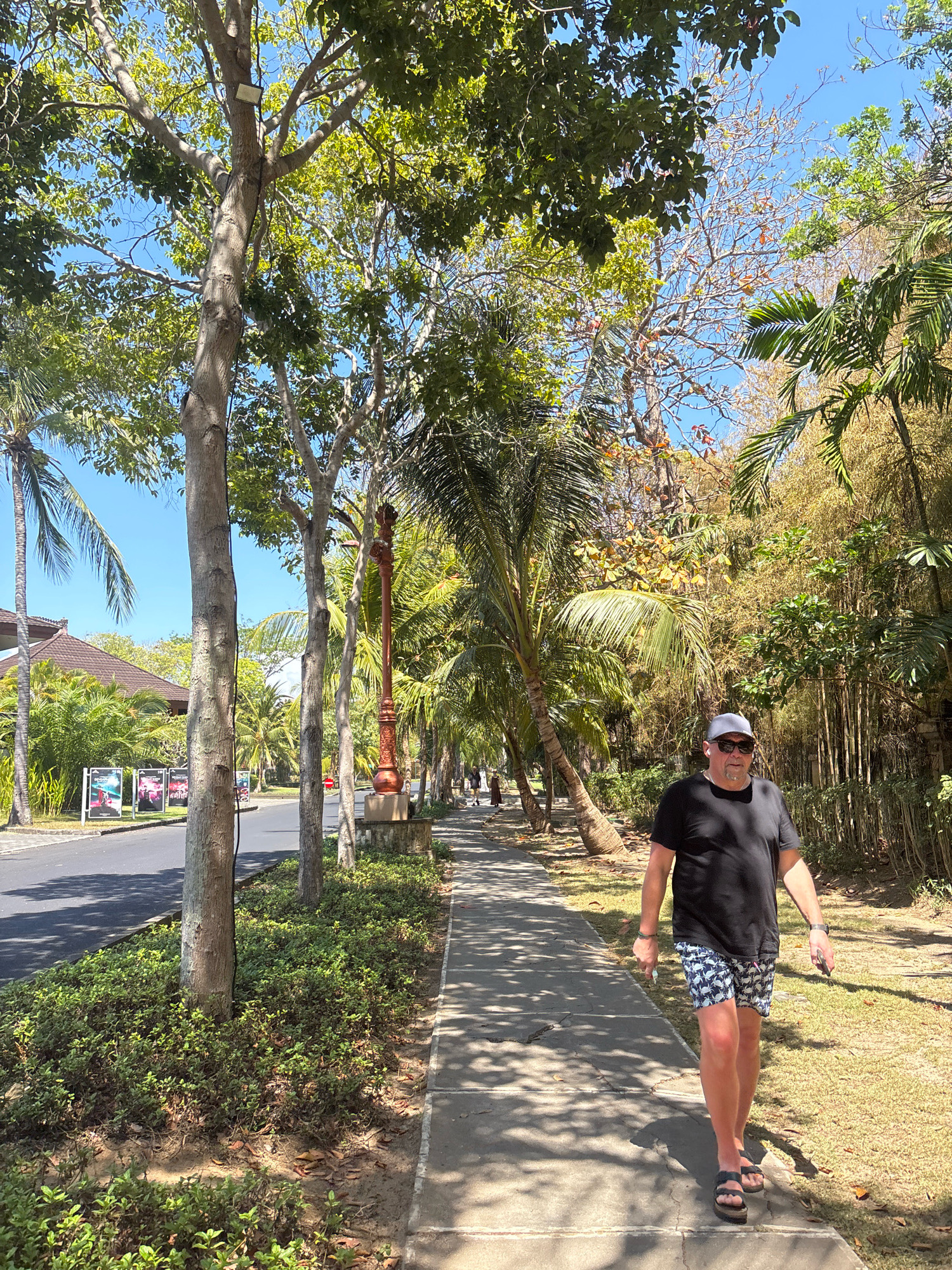 In Kuta Selatan, Indonesia, a man wearing a black t-shirt, patterned shorts, a gray baseball cap, and sandals walks along a concrete sidewalk. The sidewalk is bordered by a grassy area on the right and a strip of green bushes and trees on the left, separating it from a paved road. On the road, several posters are displayed on stands. The scene is bathed in sunlight, casting shadows from the trees onto the sidewalk. In the background, there are palm trees, lush vegetation, and a building with a brown tiled roof. The sky is clear and blue.