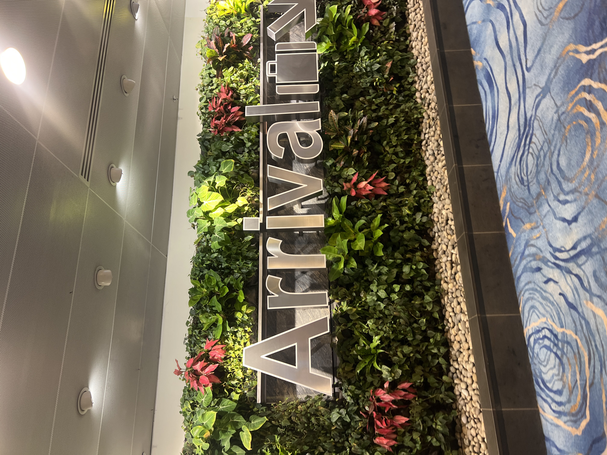 An "Arrivals" sign is mounted on a living wall of lush green plants and red foliage in a modern building. The sign is made of large, metallic, 3D letters with a polished finish. The word "Arrival" is clearly visible, followed by an icon of a suitcase and an arrow pointing to the right. The living wall is situated behind a dark stone planter box filled with small, smooth pebbles. In the foreground, a patterned carpet with swirling blue and gold designs is visible. The ceiling above features a grid of perforated panels with recessed lighting fixtures. The scene suggests an airport or transportation hub in Singapore, Singapore, designed with an emphasis on natural elements. There are no people or animals visible in the image.