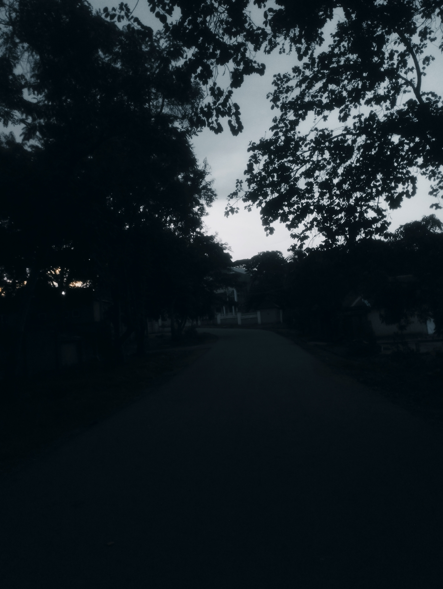 The image depicts a dark, atmospheric scene of a road leading towards structures, framed by silhouetted trees. The lighting suggests either early morning or late evening, with the sky a muted grey. On either side of the road, structures are visible but largely obscured by the deep shadows cast by the trees. The road itself is asphalt, appearing empty of any vehicles or pedestrians. The overall impression is one of stillness and muted light, creating a somewhat somber mood. This scene could be located on a residential or less-trafficked street within Jos, Nigeria, possibly in an area with significant tree cover.