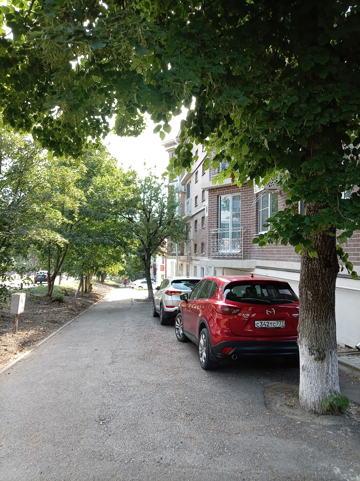The image shows a street scene in Zheleznovodsk, Russia, likely in front of an apartment building. The foreground features a paved walkway and a tree trunk with a visible white marking. Parked on the street are several cars: a red Mazda CX-5 with a license plate reading "C342TC 777," a silver car to its left, and another silver car further down the street, partially obscured. Beyond the cars, an apartment building with a brick facade and numerous windows and balconies lines the street. Trees with lush green foliage are prominent throughout the scene, with some casting shadows on the walkway. In the background, more trees and hints of other buildings are visible. A person is seen walking on the walkway in the distance.