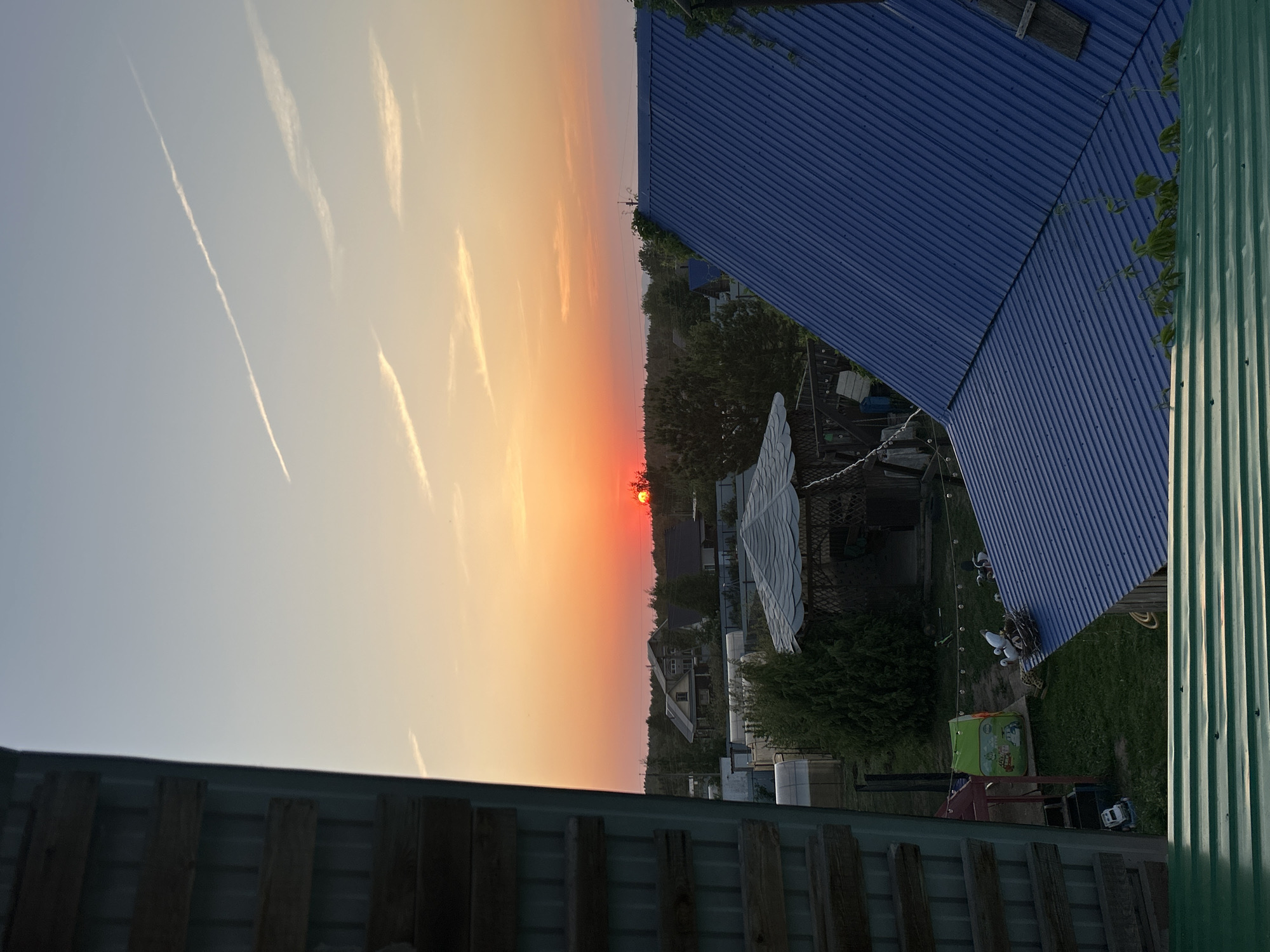 The image shows a sunset in Ольховка, Russia. In the foreground, there is a corrugated metal fence and the roofs of buildings, one blue and one green. The background features a horizon with the setting sun casting an orange glow on the sky and landscape. The landscape includes trees and buildings. Contrails are visible in the sky. In the lower right foreground, there's a patch of grass and some objects, including a green container.
