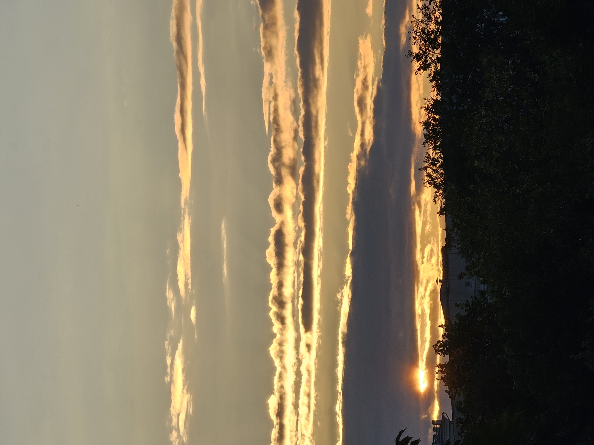 The image shows a sunset over the city of Khimki, Russia. The sky is filled with streaks of golden and orange clouds, illuminated by the setting sun which is peeking through a dark cloud formation. Below the sky, a silhouetted line of trees and buildings runs across the frame. The overall impression is one of a peaceful, serene evening.