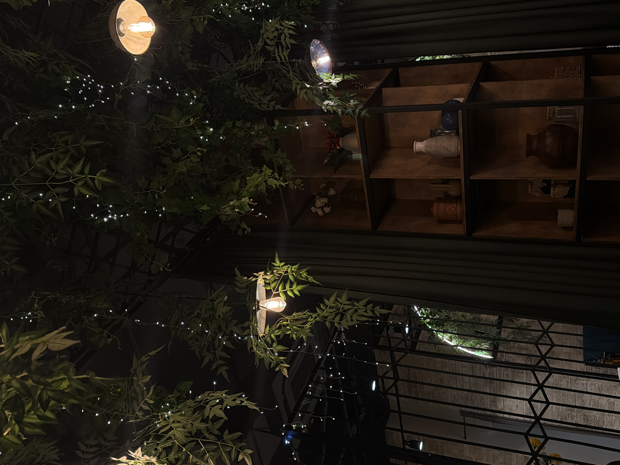 The image shows an indoor scene, possibly a restaurant or cafe, with a rustic and dimly lit atmosphere.
**Objects:**
* Shelves: A dark wooden shelving unit with a black metal frame is filled with various decorative items, including vases, pottery, and other objects.
* Foliage: Artificial or real greenery, possibly vines, is incorporated into the space, intertwined with string lights.
* Lights: Bare Edison-style bulbs and string lights provide illumination, creating a warm glow.
* Grille: A decorative black grille is visible in the background, possibly covering a window or opening.
**Environment:**
* The space appears to be indoors, with dim lighting and a focus on creating a cozy or atmospheric environment.
* The color palette is dominated by dark wood tones, green foliage, and the warm light from the bulbs.
**Location:**
* Izhevsk, Russia is mentioned in the prompt, but there are no clear indications of the location in this specific image.