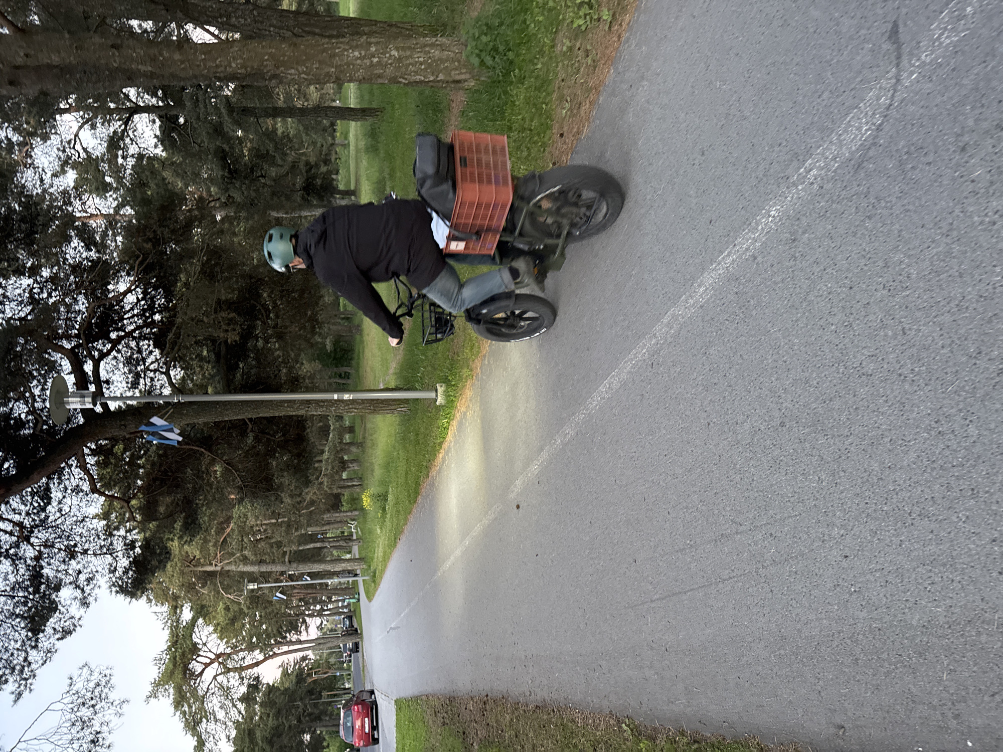A person wearing a green helmet and a black jacket rides an electric bicycle along a paved bike path. The bicycle has a black basket in the front and a red plastic crate attached to the rear rack, containing a black bag and some light-colored fabric. The bike path curves to the left and is bordered by a grassy area on the right and the left. In the background, there are tall evergreen trees, streetlights, and flags that appear to be Estonian flags hanging from a pole. A red car is visible on the road to the left of the bike path. The scene is an outdoor, urban environment, likely in Tallinn, Estonia, given the presence of Estonian flags. The lighting suggests it is late afternoon or early evening.