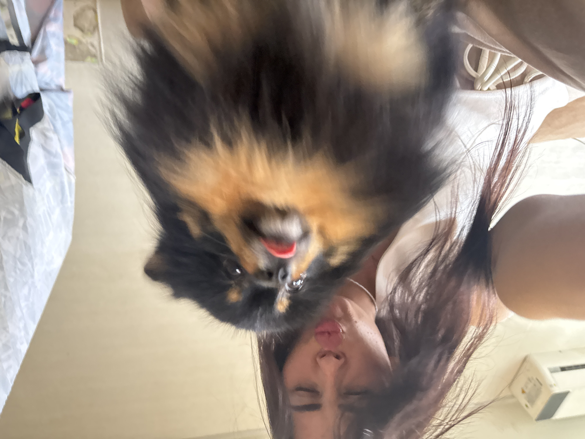 A woman with long, dark hair is holding a small, fluffy black and tan dog. She is making a kissing face towards the camera while the dog has its tongue sticking out. The woman is wearing a white top and light-colored pants. In the background, an air conditioner is visible on the wall. The scene appears to be indoors.