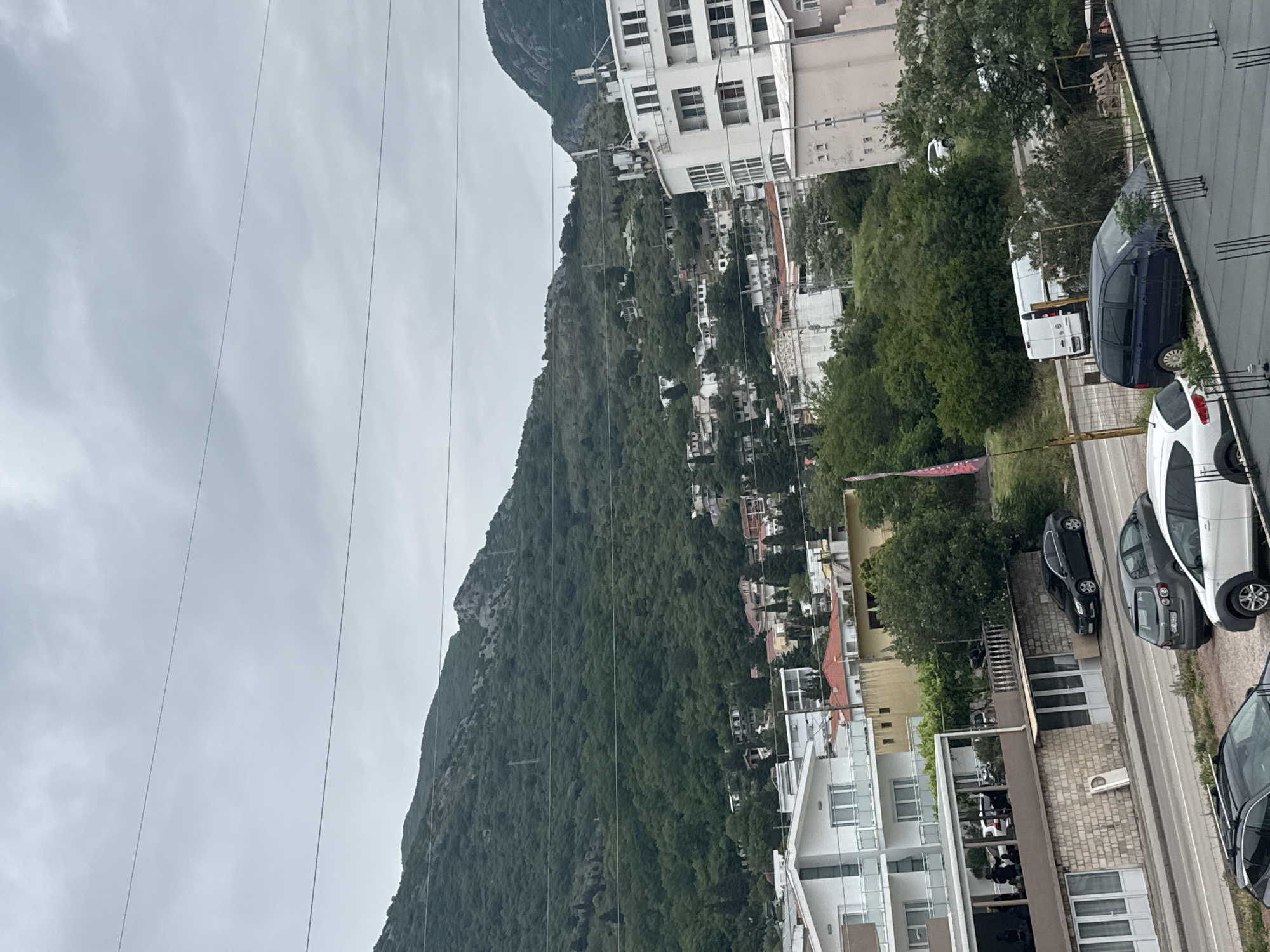The image depicts a hillside landscape with buildings and trees, likely located in or near Zankovići, Montenegro. A large, green-covered hill dominates the left side of the frame. The hillside is sparsely populated with houses. Overhead electrical lines are visible against the cloudy sky. On the right side, modern buildings are visible. A road runs along the base of the buildings. Several cars are parked along the street. There are trees scattered among the buildings. The sky is overcast.