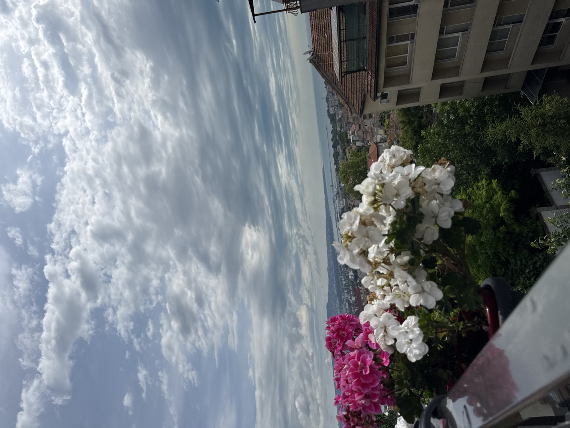 This is a vertical, eye-level, outdoor, daytime photograph taken from a balcony, looking out over a city and a body of water. In the foreground, there are several potted plants with clusters of pink and white flowers. Beyond the flowers, the scene opens up to reveal a cityscape with buildings of varying architectural styles, including some with terracotta roofs and a modern multi-story building. A body of water, possibly a river or a bay, stretches into the distance, with a hazy horizon. The sky is filled with dramatic, elongated clouds that create a dynamic pattern against a pale blue sky. The lighting suggests it is either early morning or late afternoon, as the light appears soft and diffused. The overall mood is one of peaceful contemplation, with the vibrant flowers offering a touch of color and life to the urban vista. No people are visible in the image, and there is no visible text.