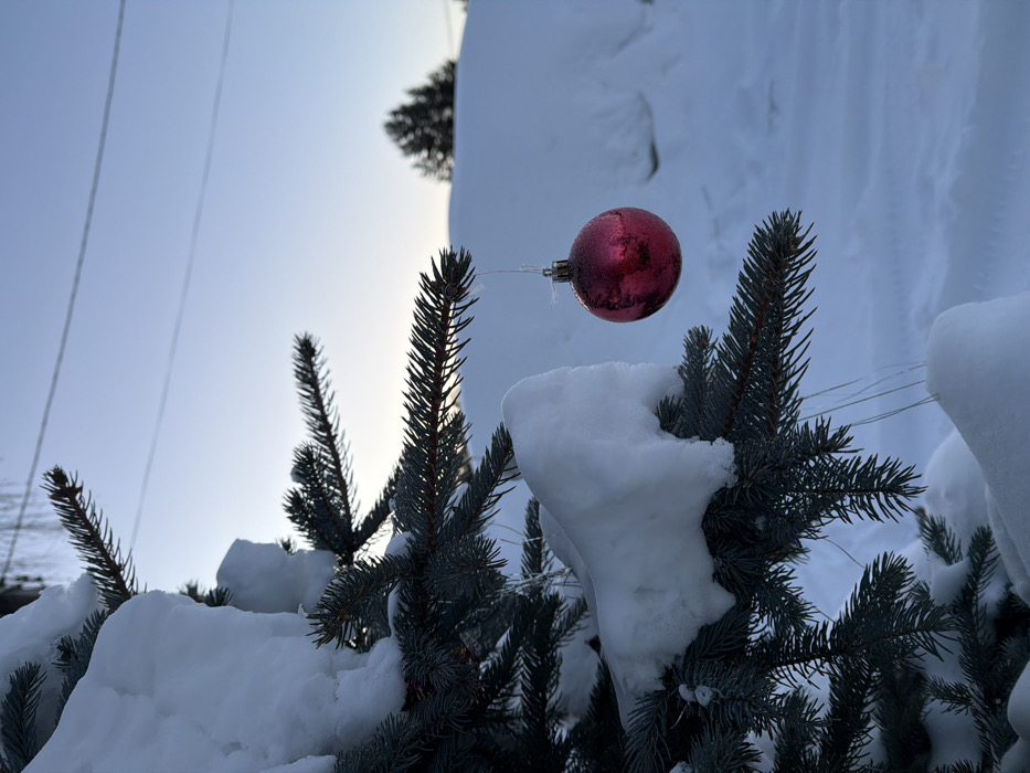 The image displays a detailed outdoor winter scene in Chaikovsky, Russia. The primary subject is a prominent branch of a blue-green fir tree, heavily blanketed with thick, pristine white snow on its upper surfaces. A single, spherical Christmas ornament, characterized by its textured, glittery reddish-pink surface and a silver cap, hangs by a thin, silvery string from a less snow-covered section of the fir branch, positioned to the right of the main snow-laden branch.
The background features a vast expanse of deep, undisturbed white snow covering the ground, forming gentle undulations and drifts. Above this, the sky transitions from a light hue near the horizon to a pale blue overhead. Two thin, dark power lines are faintly visible horizontally across the upper portion of the sky. In the far right background, a dark evergreen tree is silhouetted against the bright sky, indicating distant vegetation. There are no individuals present in the scene, and no specific street or landmark within Chaikovsky is identifiable. The environment is consistent with a cold, clear winter day.