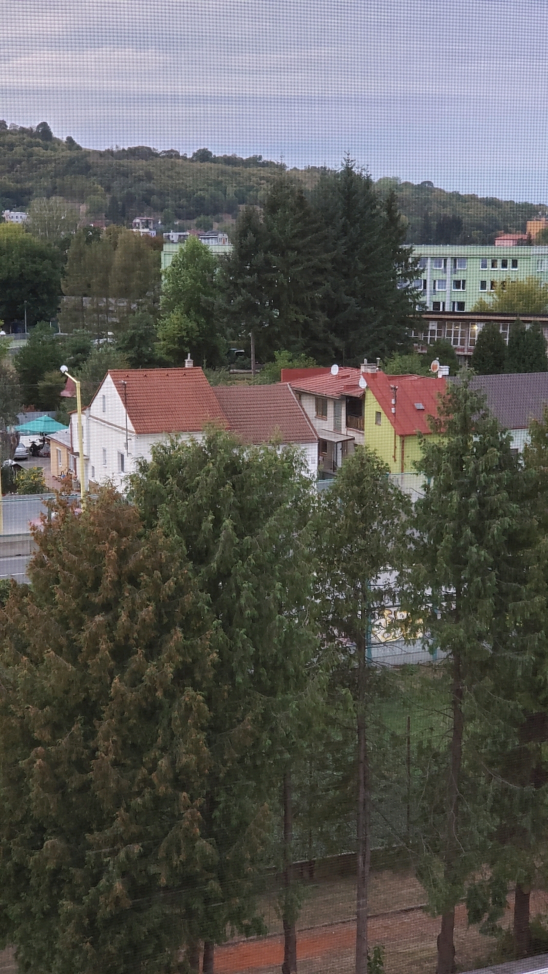 The image depicts a residential area in Prešov, Slovakia, viewed through a window screen. In the foreground, several coniferous trees dominate the scene, their green foliage obscuring much of the view. Behind the trees, a cluster of houses with red-tiled roofs are visible. One house is white with a prominent red roof, while another is partially visible with a yellow facade and a red roof. Further in the background, a larger, green building with multiple windows stands out, likely a school or apartment complex. Beyond that, a tree-covered hill forms the backdrop under a cloudy sky. The overall scene suggests a suburban or semi-urban environment. There are no people or animals visible in the image. The lighting suggests it is either early morning or late afternoon.