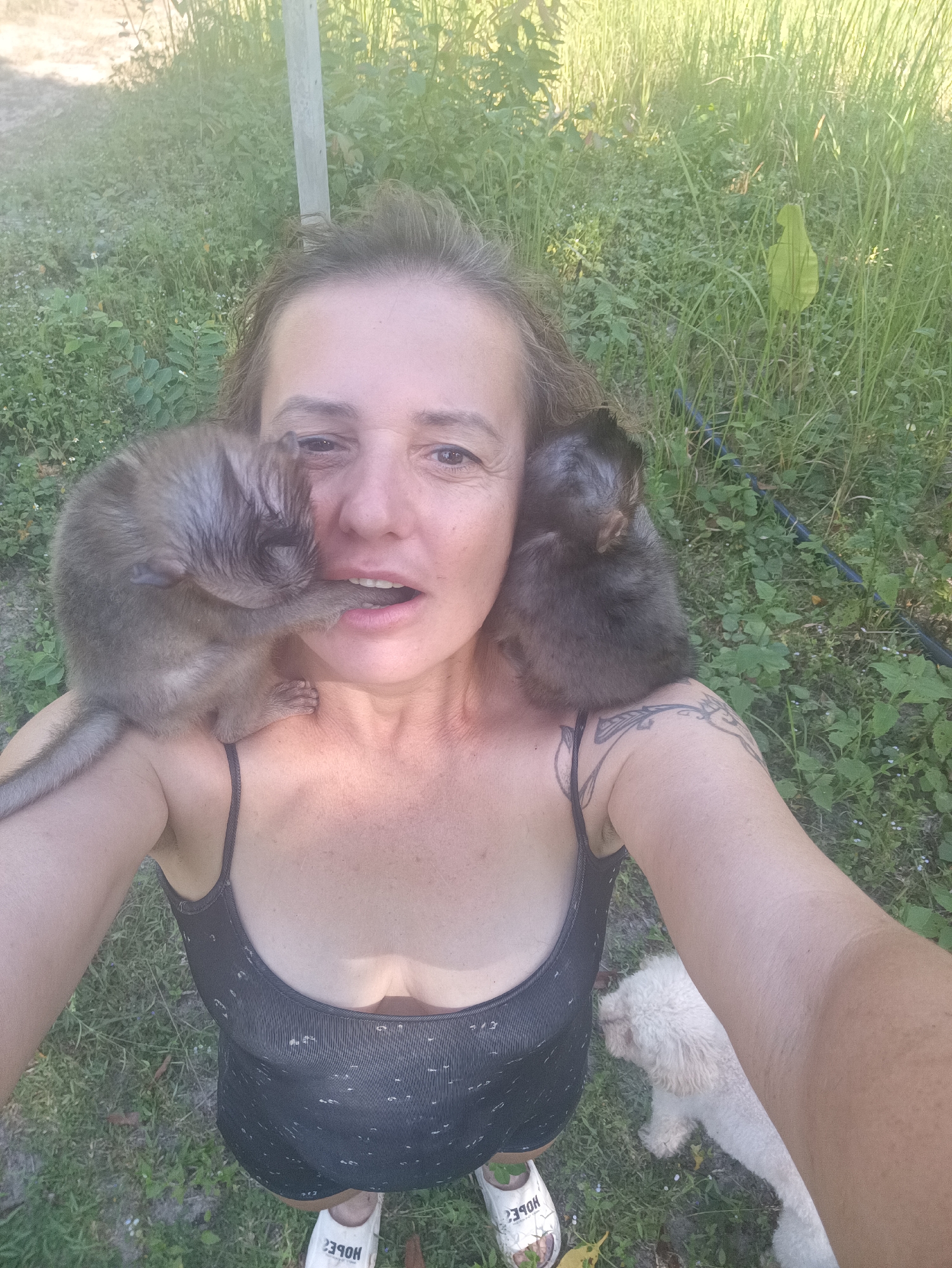 A high-angle selfie captures a woman outdoors in a lush green environment, likely in Baan Thong Nang, Thailand, interacting with two small monkeys. One monkey, with dark grey-brown fur, is perched on her left shoulder, playfully nuzzling or gently biting her chin and lower lip, causing her to have a surprised, open-mouthed expression. Another similar-looking monkey rests on her right shoulder. The woman is wearing a black tank top and a tattoo with an ornate design is visible on her left shoulder. Her left sandal, partially visible in the lower left, has the word "HOPE" printed on its sole. In the lower right corner, a small, fluffy white dog is partially visible amidst the grass. The background consists of dense green foliage, suggesting a natural or semi-natural setting, with a blue hose or cable visible on the ground. The scene is brightly lit by daylight, indicating clear weather. The overall mood appears casual and playful, showcasing a close interaction between the woman and the animals.