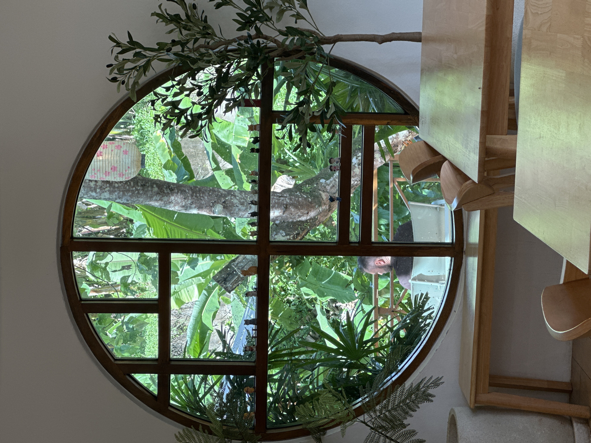 The image shows a circular window with a wooden frame, divided into several panes by wooden mullions. The window looks out onto a lush, green outdoor scene with large, broad leaves, likely tropical foliage. A tree branch with leaves and small, dark fruits extends from the top of the frame into the window. Inside the room, to the right of the window, are wooden tables and chairs, suggesting a dining or seating area in a restaurant or cafe. The wooden furniture has a natural, light wood finish and a modern design. A person is visible through the window, leaning forward and looking outwards. Their head and shoulders are seen in profile, with their face partially obscured by the reflections on the glass. The lighting suggests it is daytime, with natural light filtering through the foliage. The overall impression is a serene and naturalistic setting, blending indoor and outdoor elements.