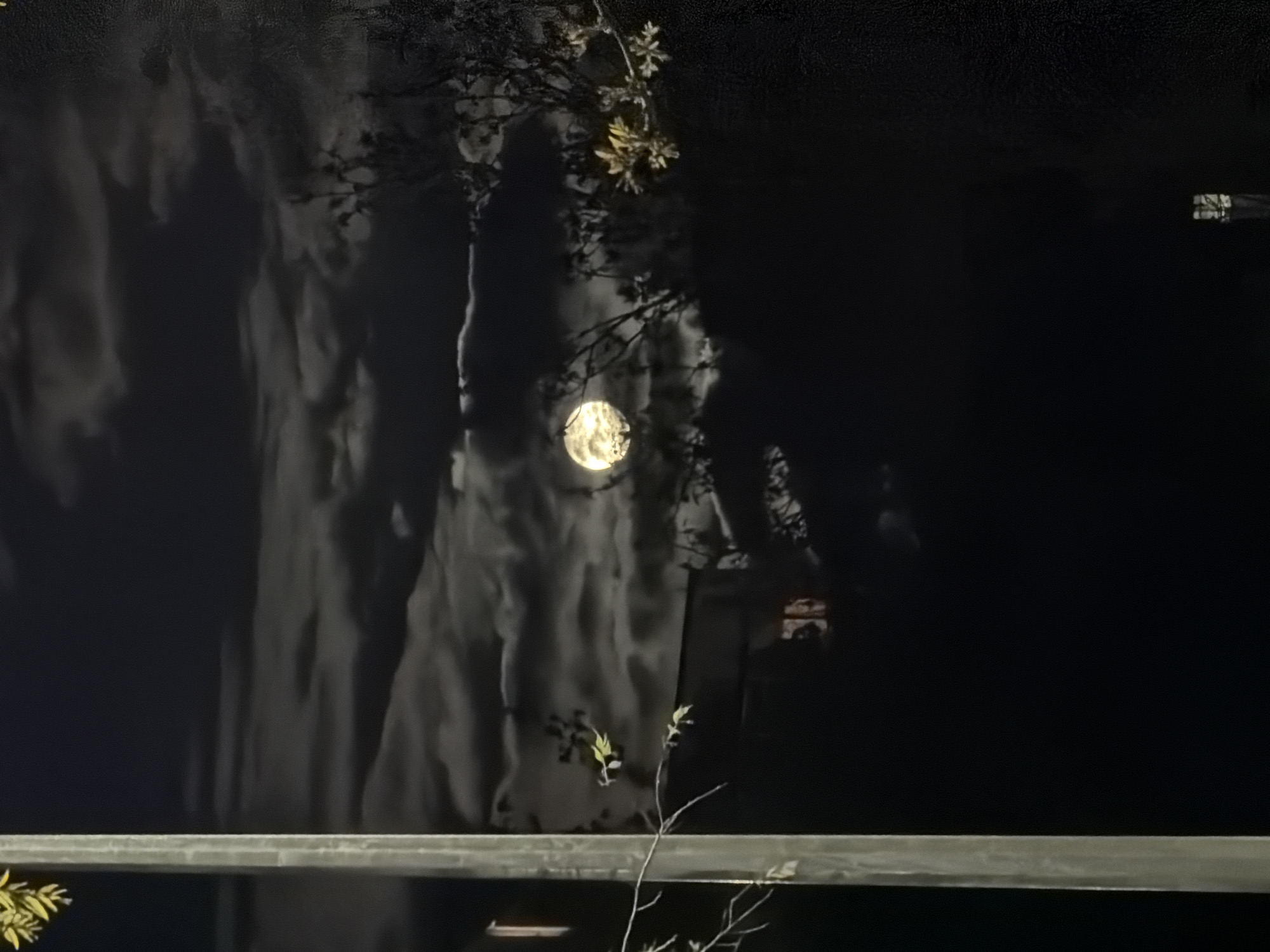 The image depicts a night scene near the sea in Varna, Bulgaria, likely near the Sea Garden. The light from the moon is reflecting off the water's surface. The foliage of trees and branches are visible in the top right quadrant of the picture. A concrete seawall is visible at the bottom of the picture.