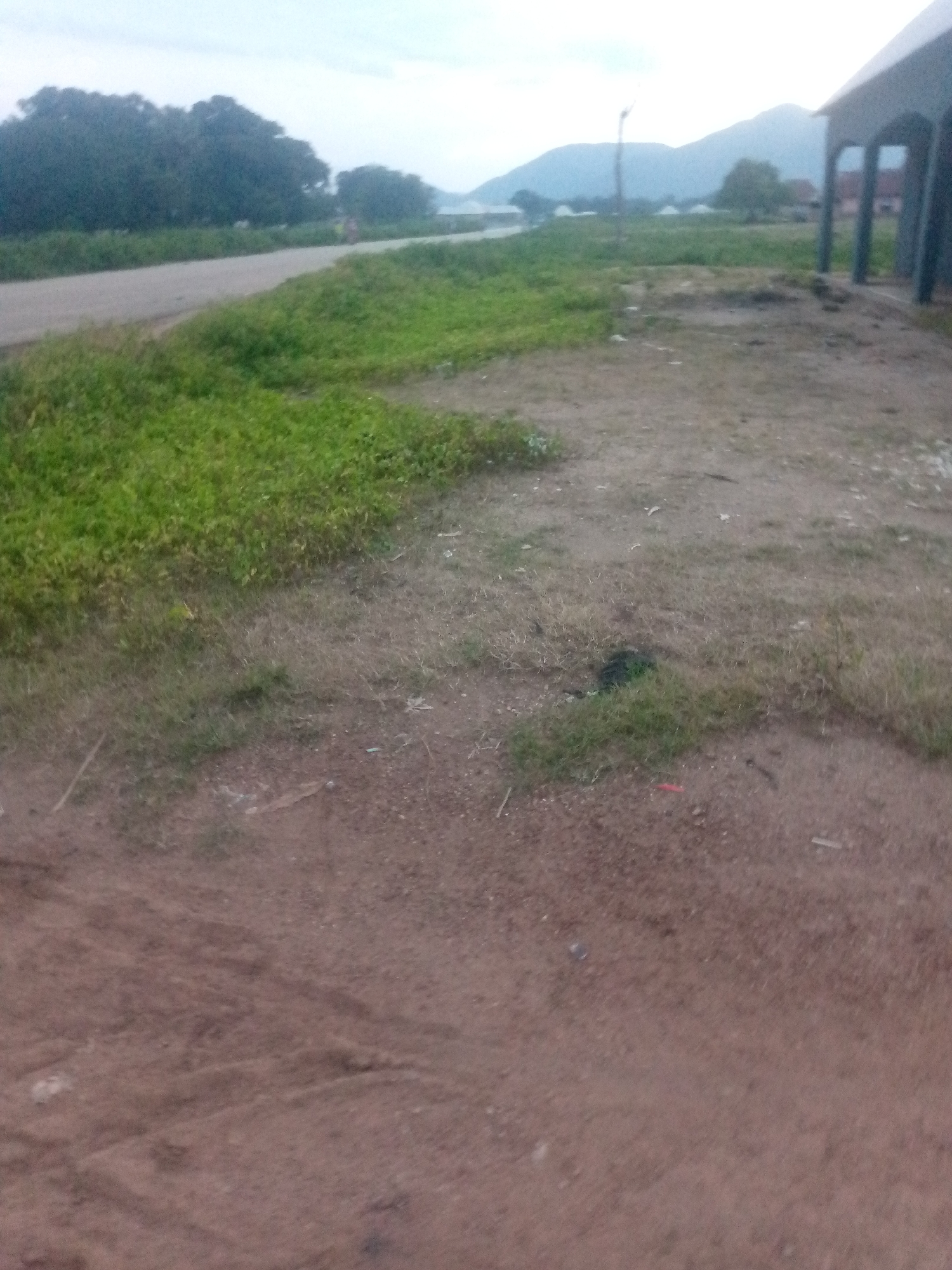 The image depicts a rural scene on an overcast day in Serti, Nigeria. In the foreground, there is a rough, dirt path with patches of dry grass and some scattered debris. To the left, a well-maintained road runs horizontally across the frame, bordered by vibrant green grass. Beyond the road, a dense line of dark green trees forms the background. In the distance, hazy mountains rise against a pale sky, with a few small structures and white tents visible. On the far right of the image, a building with a dark roof supported by pillars is partially visible, suggesting a semi-open structure. The overall impression is one of a quiet, possibly developing, area.