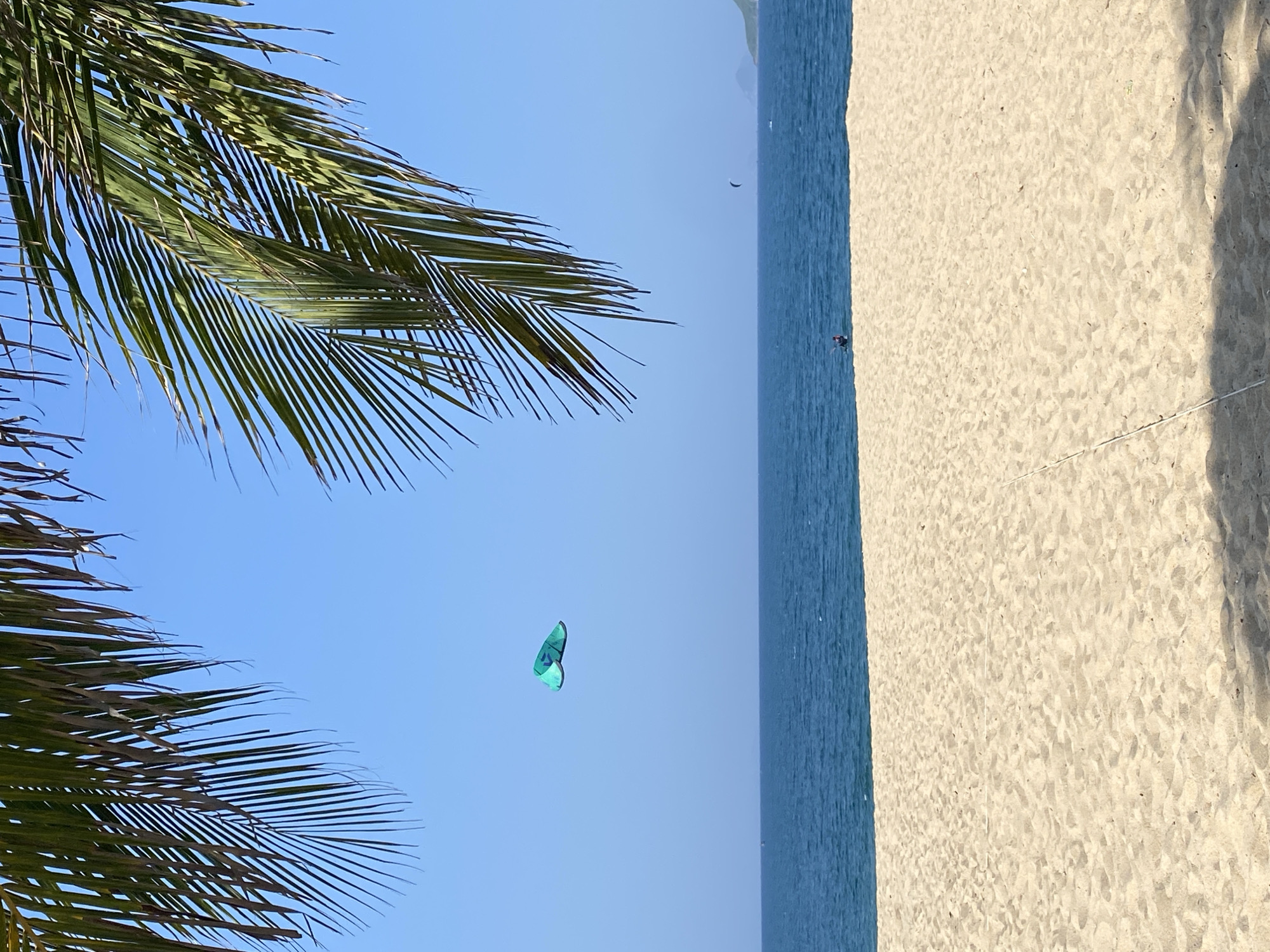 The image depicts a serene beach scene in Nha Trang, Vietnam, with the azure expanse of the sea meeting the golden sands. In the foreground, a pristine beach stretches out, with subtle shadows cast by unseen objects. Palm fronds delicately frame the top of the image, their green fronds contrasting with the clear blue sky.
Further out, the ocean is a vibrant blue, with gentle waves lapping at the shore. Two kitesurfers are visible on the water. One, a larger, turquoise kite, soars high in the sky, a vibrant splash of color against the blue. Another, smaller dark kite is further out in the distance. In the far distance, the lush green hills of Nha Trang rise gently, adding to the scenic beauty of the location. The overall atmosphere is one of tranquility and natural beauty, characteristic of a tropical paradise.