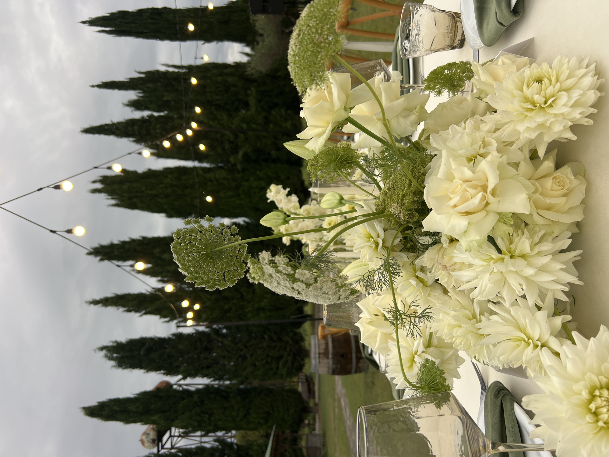 A white floral arrangement featuring dahlias and roses is placed on a table set for a meal. In the background, tall cypress trees line a field, and string lights are hung across the sky. A wooden barrel is visible to the left of the frame, and the overall setting appears to be outdoors, possibly at an event or wedding in Napareuli, Georgia.