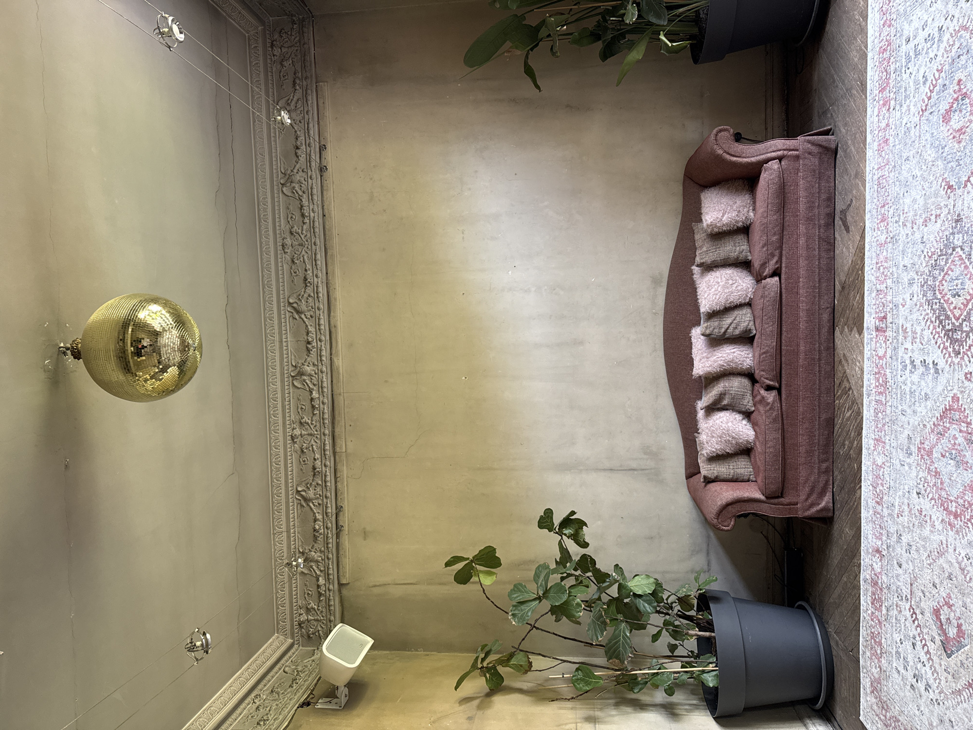 This is an interior photograph, rotated 90 degrees clockwise, showcasing an eclectic room likely serving as a lounge or waiting area in Madrid, Spain. The scene features a mix of classic architectural elements and modern decor.
A long, rose-colored upholstered sofa, adorned with multiple cushions in varying textures (some fluffy pink, others textured grey/brown), is centrally positioned against a light beige wall. The wall displays visible cracks and texture variations, contributing to a worn yet stylish aesthetic.
Prominently hanging from the ceiling on the left side of the frame is a large, golden disco ball, reflecting light. The ceiling also has small recessed spotlights. Along the upper edge of the wall, an elaborate, ornate molding or frieze with intricate carvings suggests classical architectural origins. A white wall-mounted speaker is visible near the bottom left corner, adjacent to this ornate detailing.
The floor on the right side of the image features a patterned rug with red, grey, and white geometric designs. The adjacent flooring appears to be dark wood, possibly parquet. Two potted plants introduce greenery into the space; one substantial plant in a black pot sits on the floor near the sofa, while another smaller plant is partially visible in the upper right.
The overall atmosphere is one of relaxed sophistication, blending historical architectural details with contemporary and festive elements. No people are visible, and no specific activity is taking place. There is no visible text in the image.