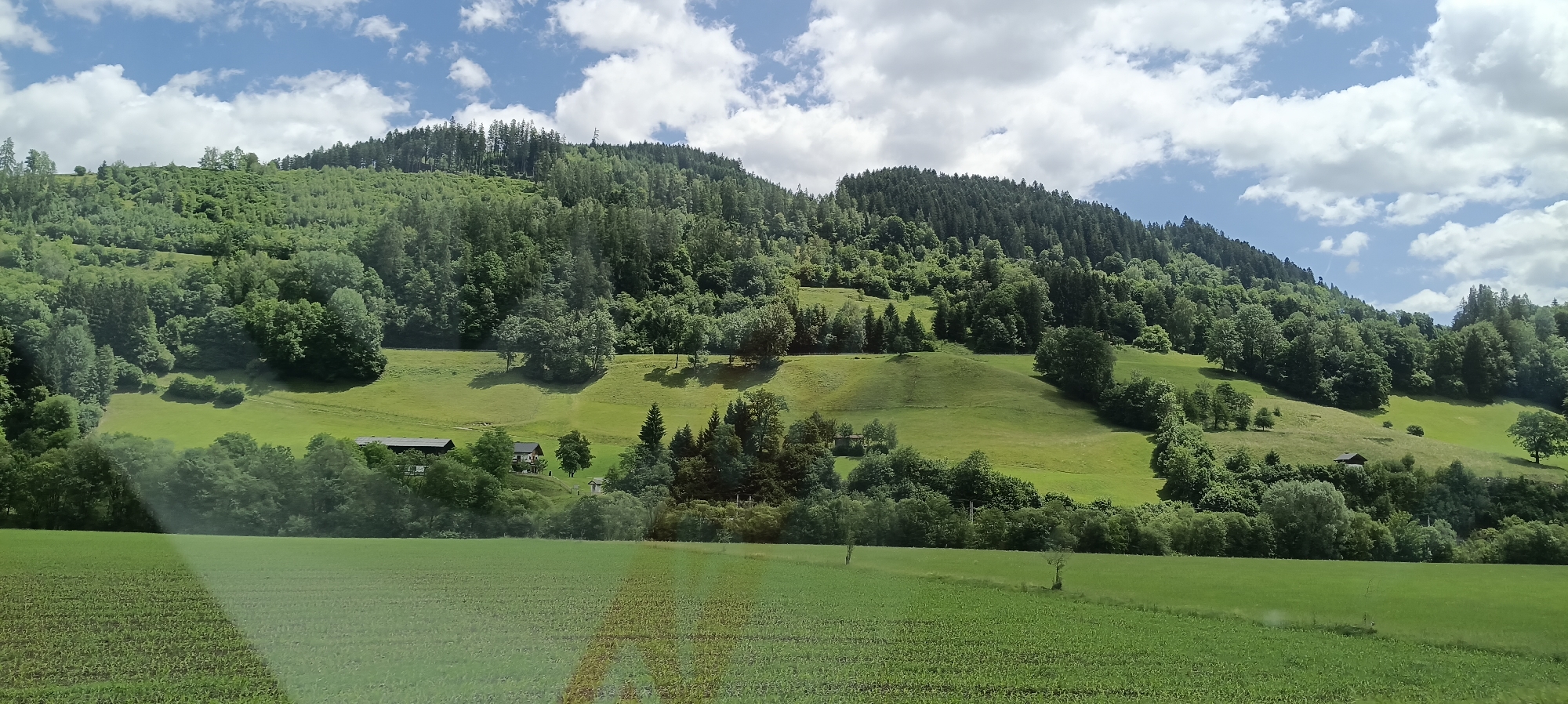 A wide, horizontal shot captures a lush, green landscape dominated by rolling hills covered in dense forests. The sky above is a vibrant blue, dotted with fluffy white clouds. In the foreground, a field of young green crops stretches across the bottom of the frame, showing rows of plants. Behind this field, a gentle slope rises, transitioning into a pasture area where a few scattered trees and some farm buildings are visible. Further up, the hillside is blanketed with trees, forming a thick woodland that extends to the top of the frame. The overall scene evokes a peaceful, rural setting in the Austrian countryside, likely near Bischofshofen.
