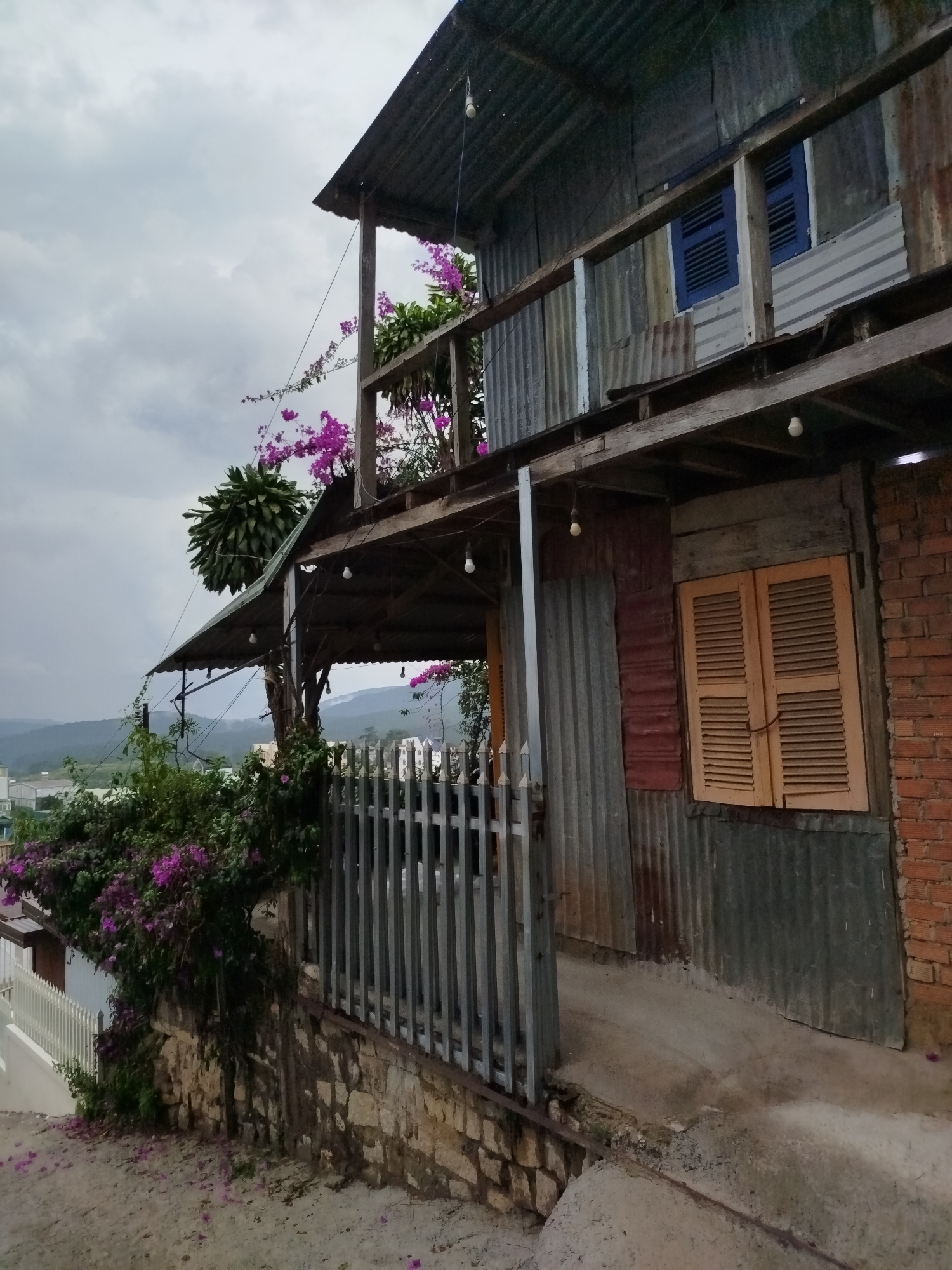 The image depicts a weathered two-story house in Da Lat, Vietnam. The structure is primarily constructed from corrugated metal sheets and timber. The upper floor features a balcony adorned with purple flowering vines. A blue shuttered window is visible on the upper floor. The lower floor has a wooden shuttered window and a brick section on the right side. A metal fence runs along the front of the property, partially obscured by a bougainvillea bush in full bloom with magenta flowers. Debris of the same flowers are on the ground. The house is built on a slope with a concrete path leading up to it. Overcast sky overhead. The mountains are in the distance.