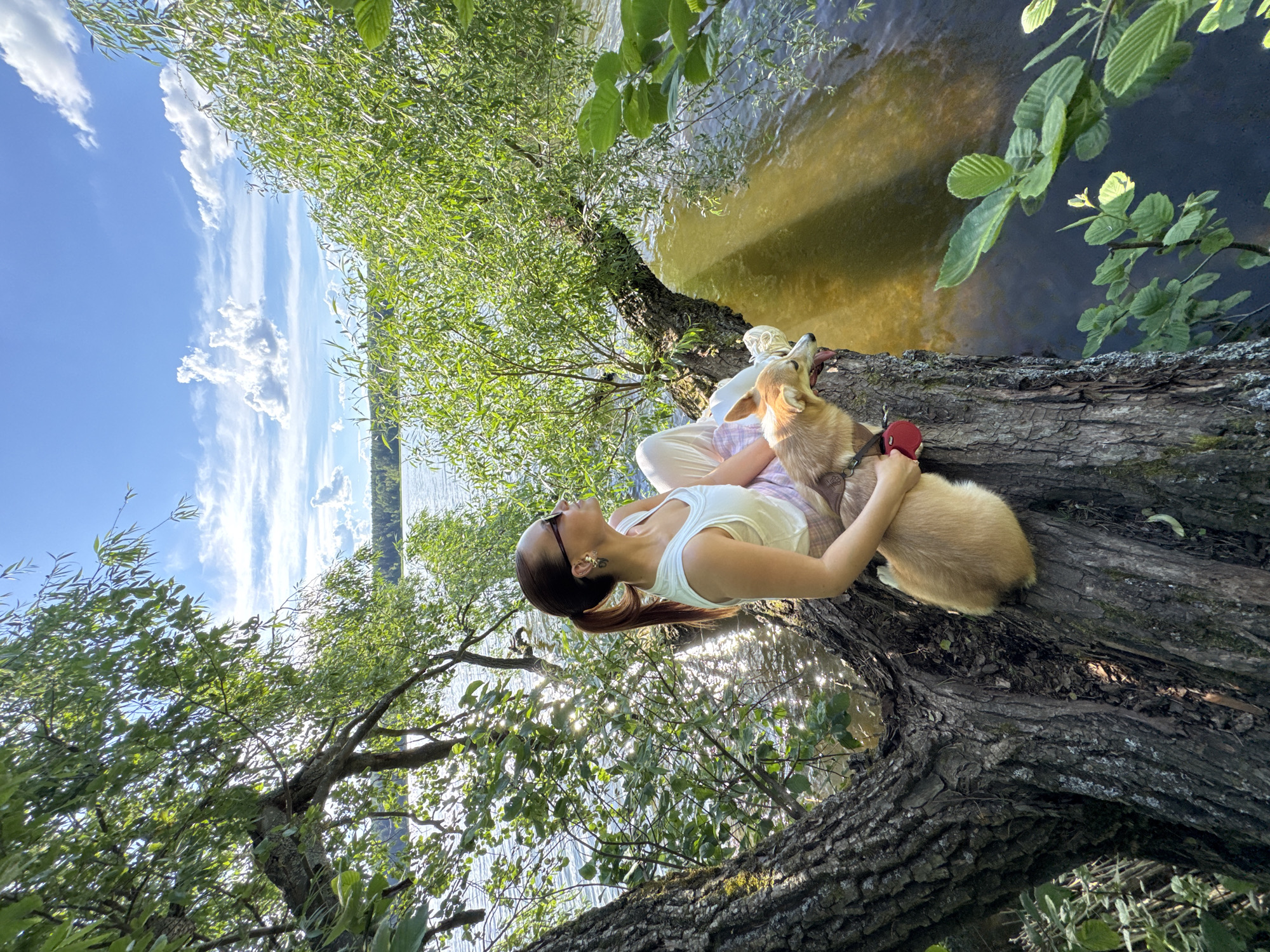 A young woman with her hair in a ponytail is sitting on a large fallen tree by a body of water. She is wearing a white tank top and light-colored pants. Next to her, a small, light-brown dog is resting. The woman is looking up at the sky, and her face appears serene. The dog also seems relaxed, with its mouth slightly open. The scene is set amidst lush green foliage from willow trees hanging over the water. The water itself is a murky, greenish-brown, reflecting the sunlight in shimmering patterns. The sky is a vibrant blue, dotted with fluffy white clouds, suggesting a pleasant, sunny day. The overall atmosphere is peaceful and idyllic, evoking a sense of calm and connection with nature. The location is Votkinsk, Russia. There is no visible text in the image.