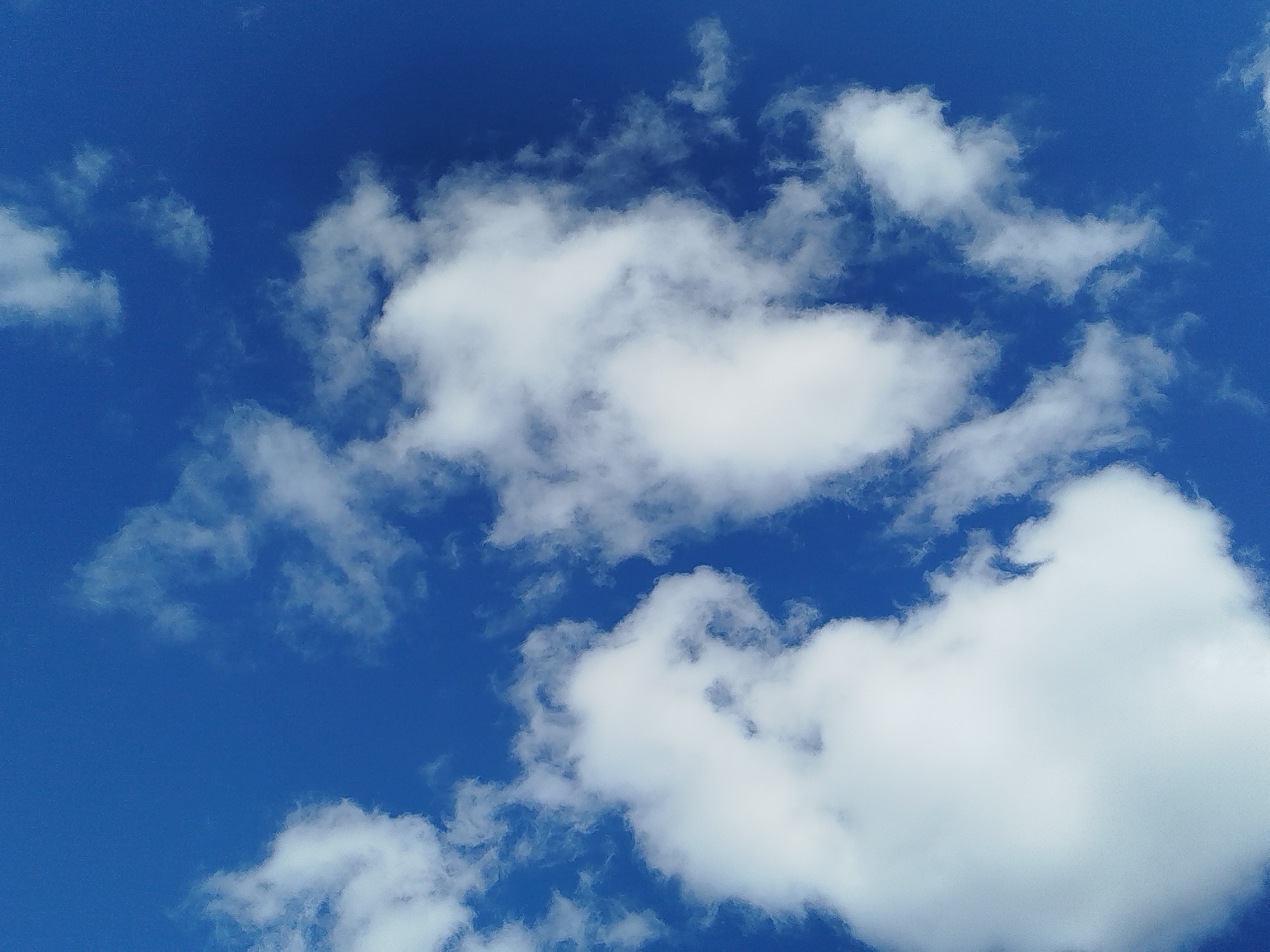 An image captures a clear blue sky dotted with scattered white cumulus clouds. The clouds vary in size and shape, with some appearing fluffy and dense, while others are wispy and thin. The sunlight illuminates the clouds from above, casting shadows that give them a three-dimensional appearance. The sky serves as a backdrop for these ethereal formations, creating a serene and expansive atmosphere. The image does not contain any elements that would suggest a specific location within a city.