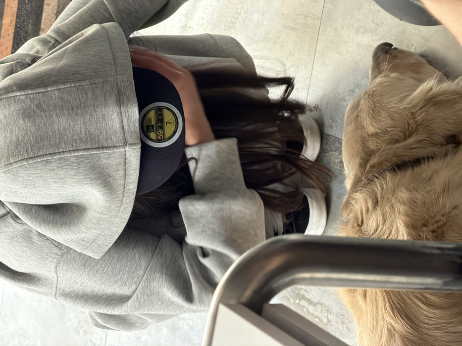 The image displays an indoor scene within the city of Yerevan, Armenia. A person is seen in a crouched position, with their upper body, face, and head largely obscured by a raised light grey hooded sweatshirt. A dark blue New Era 59FIFTY baseball cap is visible on their head, featuring a circular yellow sticker with "59FIFTY" and the number "7." Long dark hair extends from beneath the hood. The individual wears black sneakers with white soles. In the foreground, a golden retriever dog lies on a light-colored, possibly tiled, floor, occupying the lower right portion of the frame with its head resting. A curved metallic object, consistent with a table leg, is present in the left foreground. The specific indoor location within Yerevan, Armenia, is not identifiable from the visible elements.
