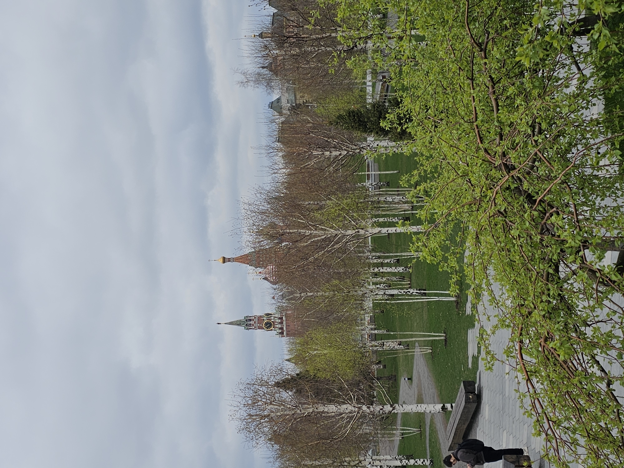 The image depicts a view of Moscow, Russia, featuring the Kremlin and surrounding parkland. The Kremlin, a fortified complex, is visible with its distinctive towers, including one with a prominent clock face and a spire topped with a red star. The red brick architecture of the Kremlin is contrasted by the surrounding trees, some of which are just beginning to show new spring leaves. A park-like area with white-barked birch trees and green lawns stretches towards the foreground. A paved pathway and benches are present, with at least one person visible sitting on a bench. The sky is overcast, with pale gray clouds dominating the upper part of the frame.