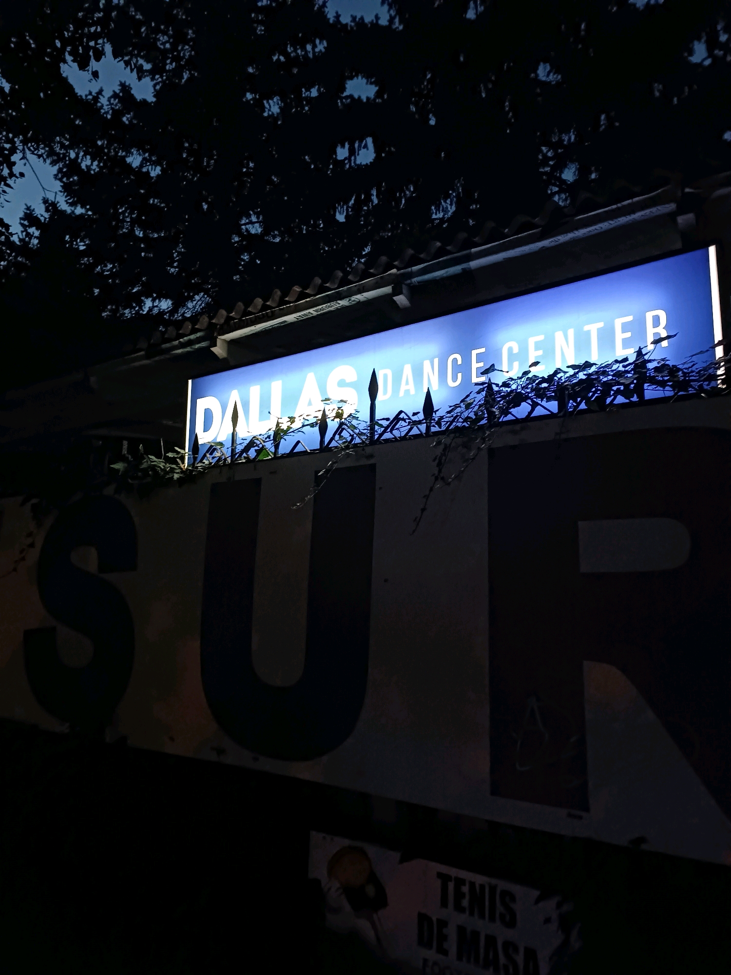 The image shows a nighttime view of a sign that reads "DALLAS DANCE CENTER" in large, illuminated white letters against a bright blue background. The sign is mounted above a wall with large, dark letters that appear to spell "SUR" in black. There are also some thorny vines and leaves growing over the sign and the wall. Below the wall, another sign is partially visible with text that includes "TENIS DE MASA". The overall setting is outdoors at night, with trees silhouetted against a dark sky. There are no people visible in the image. The location is not specified to be in Chișinău, Moldova.