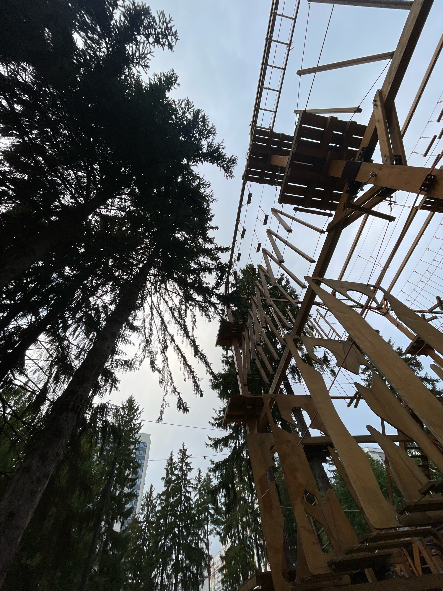 The image shows an outdoor ropes course constructed from wood, situated amongst tall evergreen trees. The ropes course features multiple platforms at varying heights, connected by ropes, wooden beams, and ladders. In the background, a modern, tall building is visible, indicating an urban or semi-urban setting. The sky is overcast. This scene is located in Pervomaysky, Russia. There are no people visible in the image.