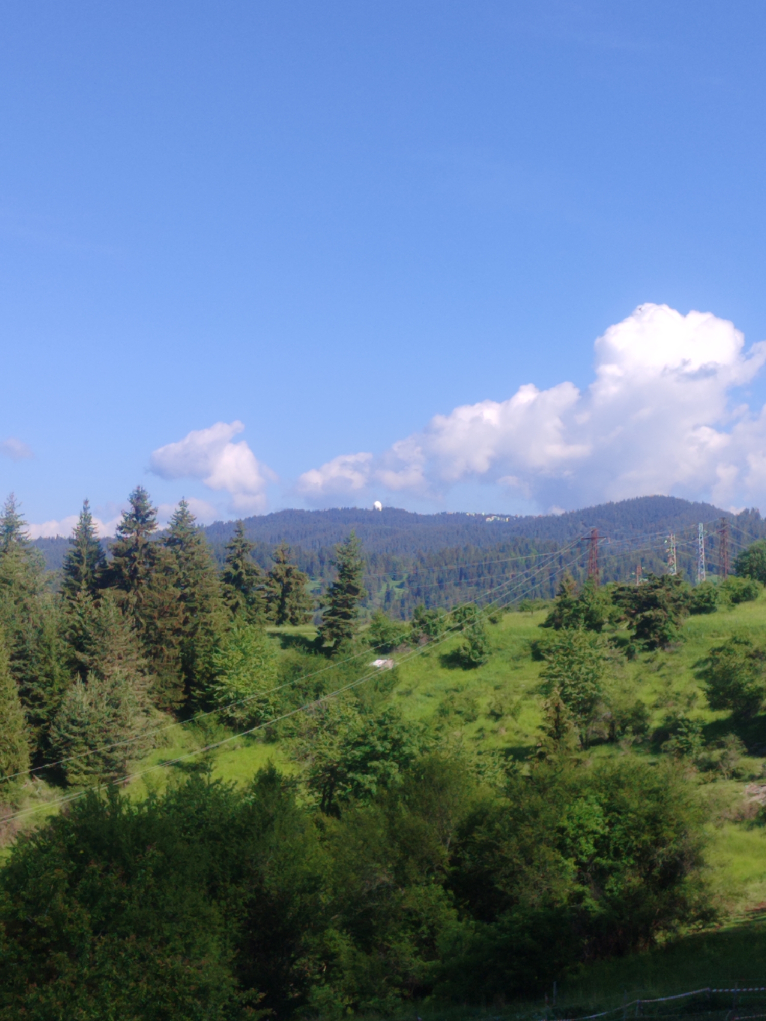 This image presents a serene, sunlit mountainous landscape, characteristic of regions like Momchilovtsi, Bulgaria. The scene is dominated by undulating hills covered in dense greenery under a vast, bright blue sky scattered with fluffy white cumulus clouds.
In the foreground and mid-ground, a rich tapestry of green is visible, featuring numerous coniferous trees, such as firs and spruces, alongside various deciduous bushes and grassy slopes. The vegetation appears vibrant and healthy, indicative of a lush natural environment.
Across the mid-ground, several large power transmission towers (pylons) with multiple high-voltage lines traverse the landscape, introducing an element of human infrastructure into the natural setting. These pylons are visible in varying shades, some appearing reddish-brown, others a lighter metallic gray.
Further in the distance, a prominent forested mountain ridge stretches horizontally. On its peak, two distinct white, dome-shaped structures are discernible, suggestive of radomes or observatory buildings. One large dome is clearly visible on the left side of the ridge, with a smaller one further to the right.
The time of day appears to be midday or early afternoon, given the bright, direct sunlight illuminating the entire scene. The weather is clear and sunny with pleasant cloud cover. No specific activity or event is taking place, and there are no people visible. The image conveys a sense of peaceful natural beauty with subtle indications of human development. There is no visible text in the media file.