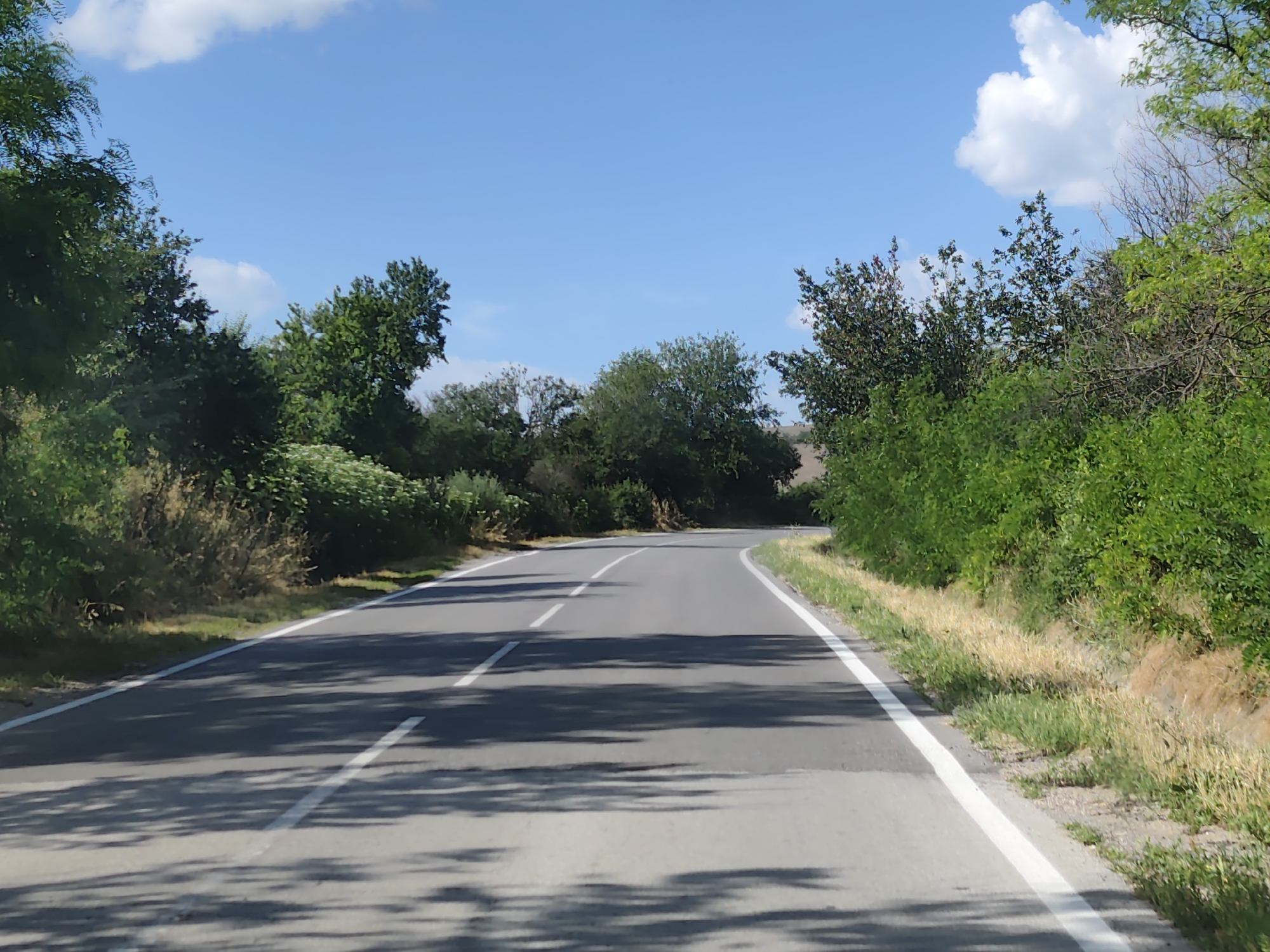 The image depicts a winding asphalt road on a sunny day in Stejerovo, Bulgaria. The road is bordered by lush green trees and vegetation on both sides, with dry grass and some smaller bushes growing along the edges. The sky above is a vibrant blue with scattered white clouds, indicating fair weather. The sun casts distinct shadows of tree branches onto the road, suggesting it is either late morning or early afternoon. There are white lane markings on the road, indicating it is a two-lane road. The scene is one of a quiet, rural road, possibly leading to or from the village, surrounded by natural scenery. There are no people or vehicles visible in the image, and no text is present. The overall impression is one of a peaceful, sun-drenched day in a natural, undeveloped setting.