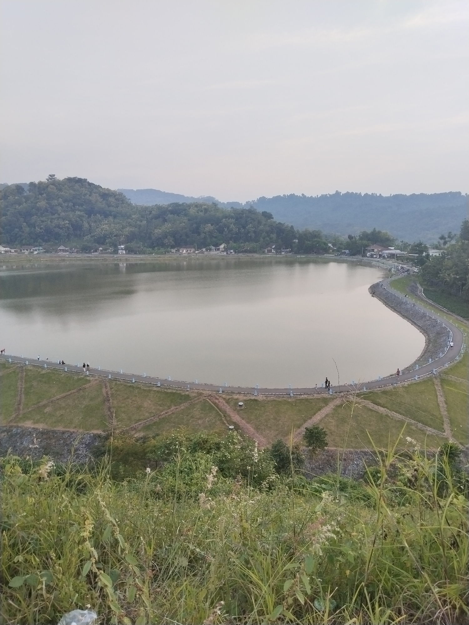 This elevated view captures a tranquil landscape featuring a large, calm lake or reservoir in Jambeyan, Indonesia. The body of water, reflecting the pale, overcast sky, occupies the central midground of the image.
Along the nearest bank of the lake, a wide, paved pathway or road gracefully curves, acting as an embankment. This path is bordered by white posts or railings at regular intervals. Several individuals are visible on this path, some walking in groups and others singly, appearing to be enjoying a stroll. Further across the lake, on the opposite bank, scattered residential buildings, mostly light-colored, are nestled among dense trees, hinting at a small community.
The background is dominated by multiple layers of lush green hills and mountains, densely covered with trees. The hills in the distance appear soft and hazy, gradually fading into the muted sky.
In the immediate foreground, tall, wild green grass and various plants with small white flowers grow profusely, suggesting an unmanicured, natural vantage point from which the photograph was taken. A small piece of white litter is barely discernible in the bottom-left corner of the foreground.
The soft, diffused light indicates either early morning or late afternoon, creating a serene and peaceful ambiance. The calm surface of the water suggests minimal wind. No visible text is present in the image.