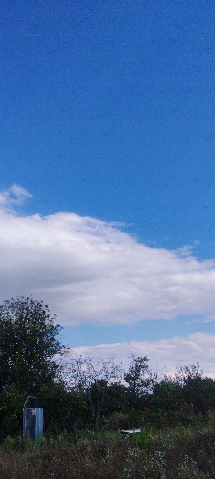 The image shows an outdoor scene with a vibrant blue sky dominating the upper portion, interspersed with scattered white clouds. The lower half of the image depicts a landscape with various trees and vegetation. In the foreground, tall grasses and smaller flowering plants are visible. To the left, a metallic structure, possibly a water tank or small shed, stands amongst the greenery. Further into the background, a dense line of trees and shrubs creates a natural border. The overall impression is of a rural or semi-rural environment under a bright sky. There are no people or animals visible in the image. The scene appears to be located in Yaroslavskaya, Russia.