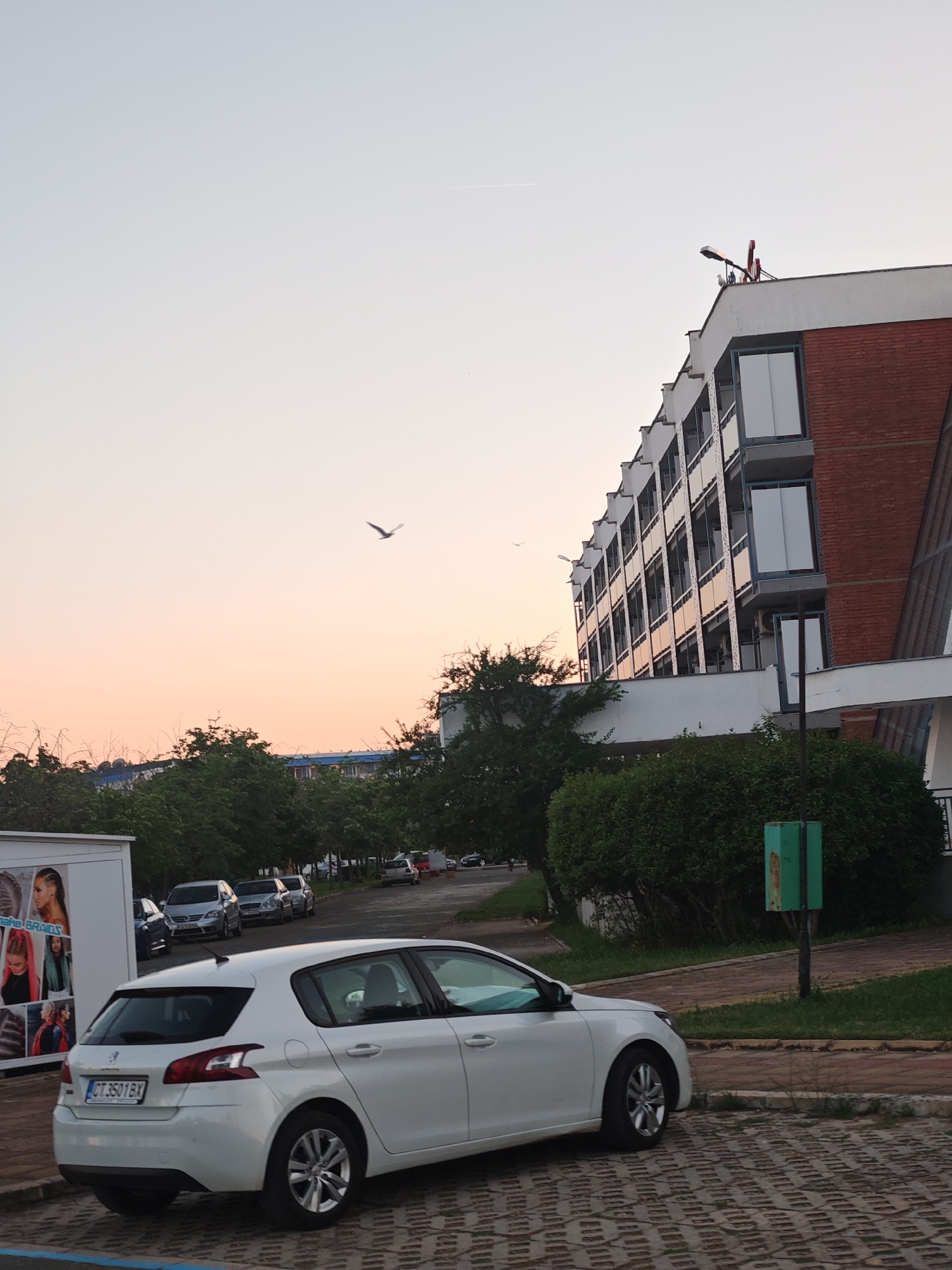The image captures a scene in Nesebar, Bulgaria, at dusk. A white Peugeot 308, with license plate CT 3501 BX, is parked on patterned brick pavement in front of a commercial building. A building with multiple floors and balconies is to the right with a red brick facade visible on one section. A bird is flying against the dusky sky. A small white trailer with posters is on the left. Several cars are parked along the street in the background, lined with trees. Green shrubbery is growing near the base of the building, and a green utility box stands next to the parking spot. The sky is a pale gradient of pink and blue.
