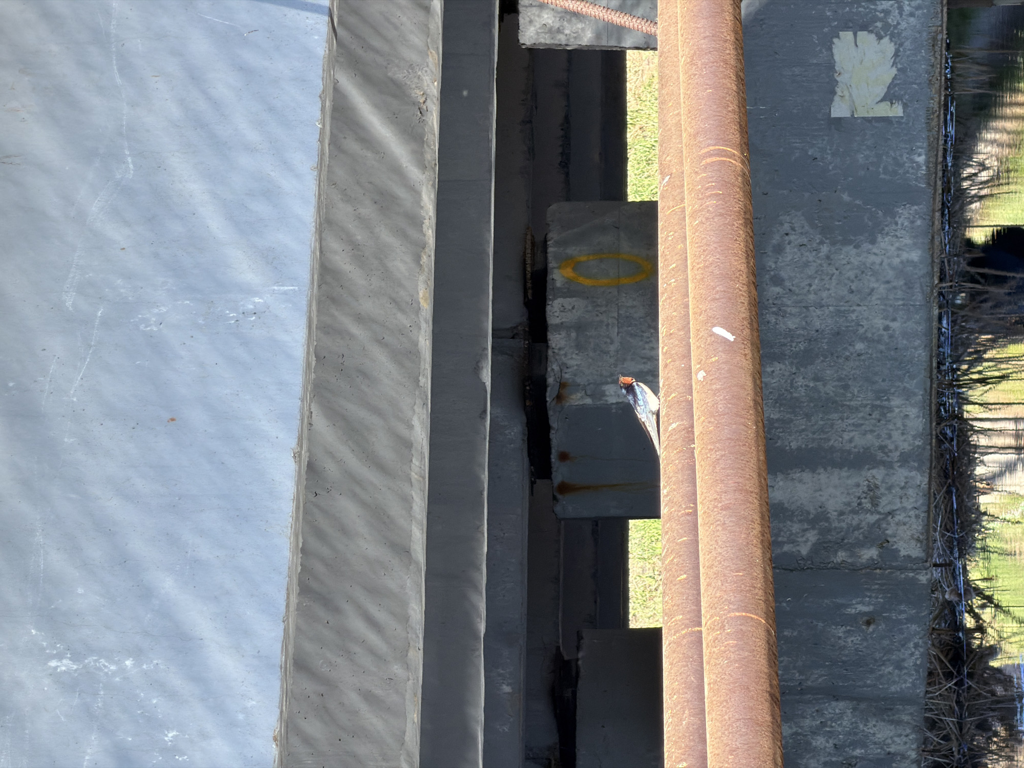 The image shows a close-up, abstract view of a bridge or overpass structure. Dominant elements include concrete supports, rusty pipes, and glimpses of vegetation and water through the gaps in the structure. The gray concrete surfaces show signs of weathering and wear. The rusty pipes run vertically along the structure. Vegetation, possibly grass, is visible in the background. Water reflects the vegetation and surroundings, indicating its proximity to the structure. There is no explicit evidence of the location being in Izhevsk, Russia.