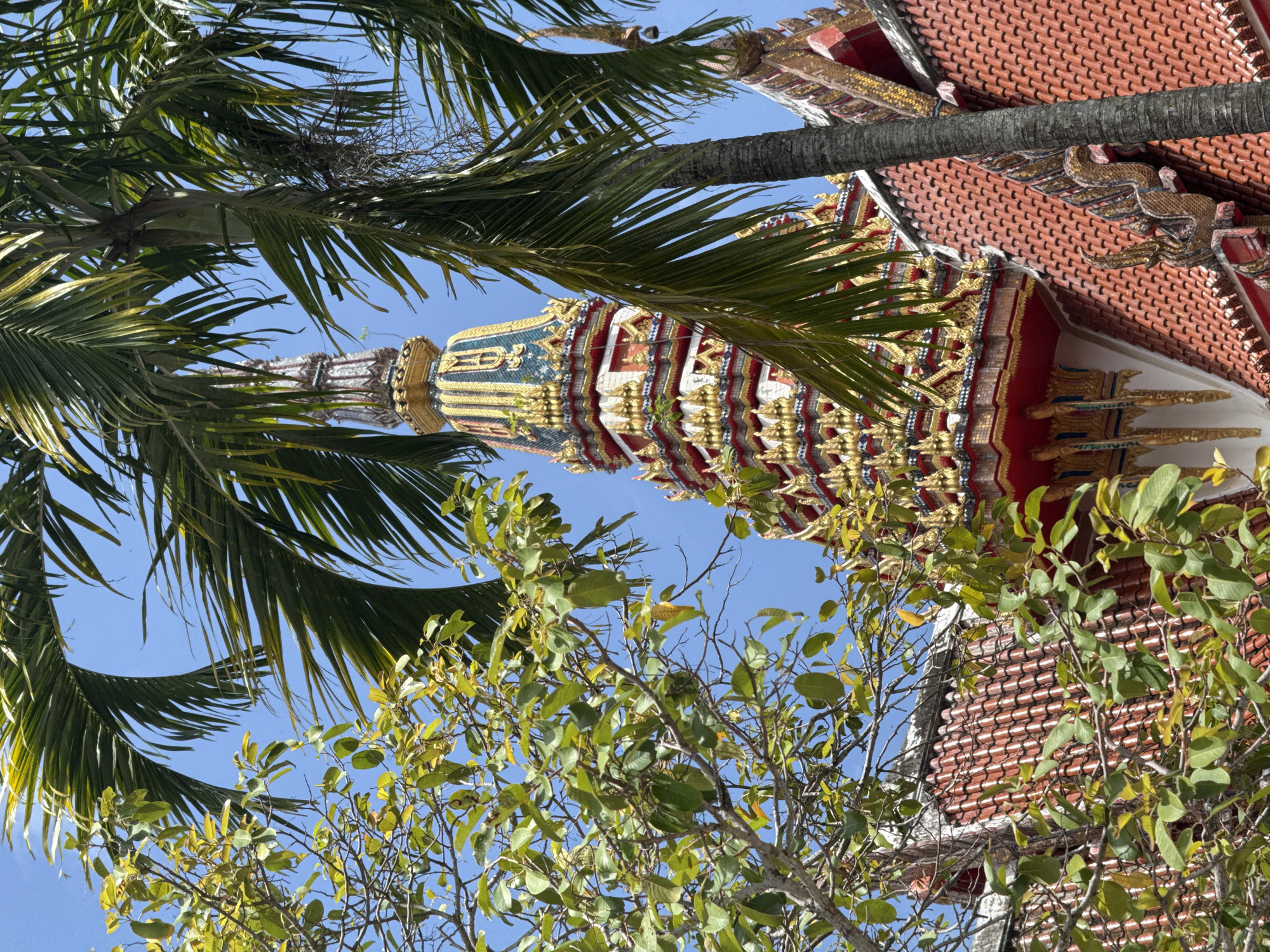 The image shows a view of the Wat Chalong temple in Chalong, Thailand. In the foreground, lush green palm fronds frame the scene, with branches of a leafy tree also partially obscuring the view. Peeking through the foliage, the ornate, multi-tiered roof of the temple is visible, adorned with vibrant red tiles. At the center of the image, a distinctive tiered spire rises, decorated with gold and green mosaic tiles and intricate golden detailing. The sky is a clear, bright blue. The scene captures a close-up, partially obstructed view of the temple's architecture and surrounding tropical vegetation.