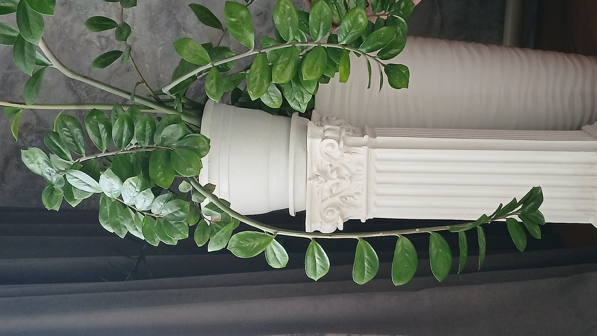 The image shows a plant with green leaves in a white pot, placed on top of a decorative white column. The column is ornamented with carvings and has a textured, ribbed section above. The background includes a dark-colored, possibly fabric-covered surface and a wall. The location and city are unknown.