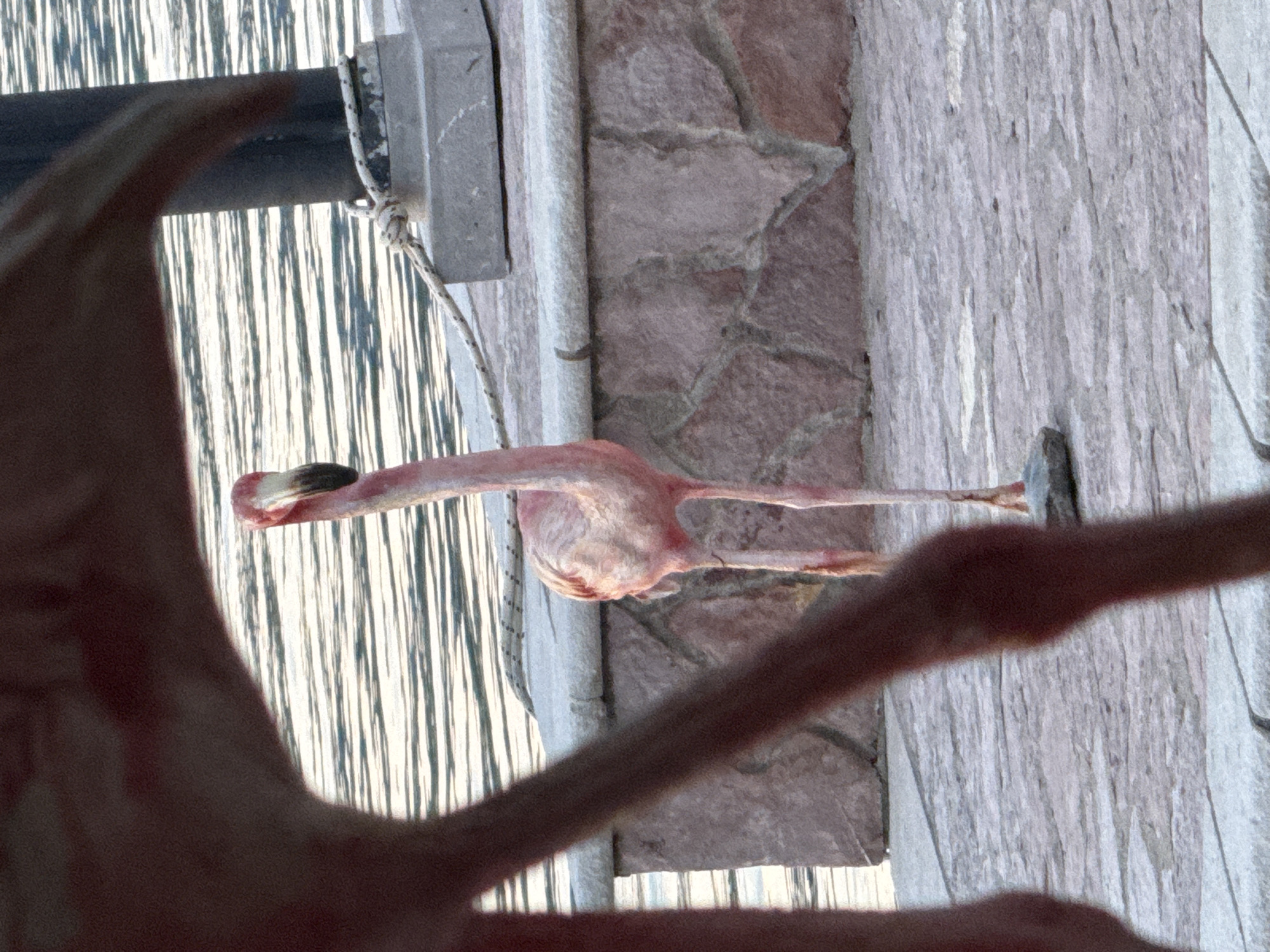 The photo appears to show a flamingo sculpture next to a body of water in Bogišići, Montenegro. The flamingo is pink and partially obstructed by a dark-colored object in the foreground. In the background, there is a stone structure with gray stone. The body of water features vertical lines of light. A gray metal structure is present above the water.