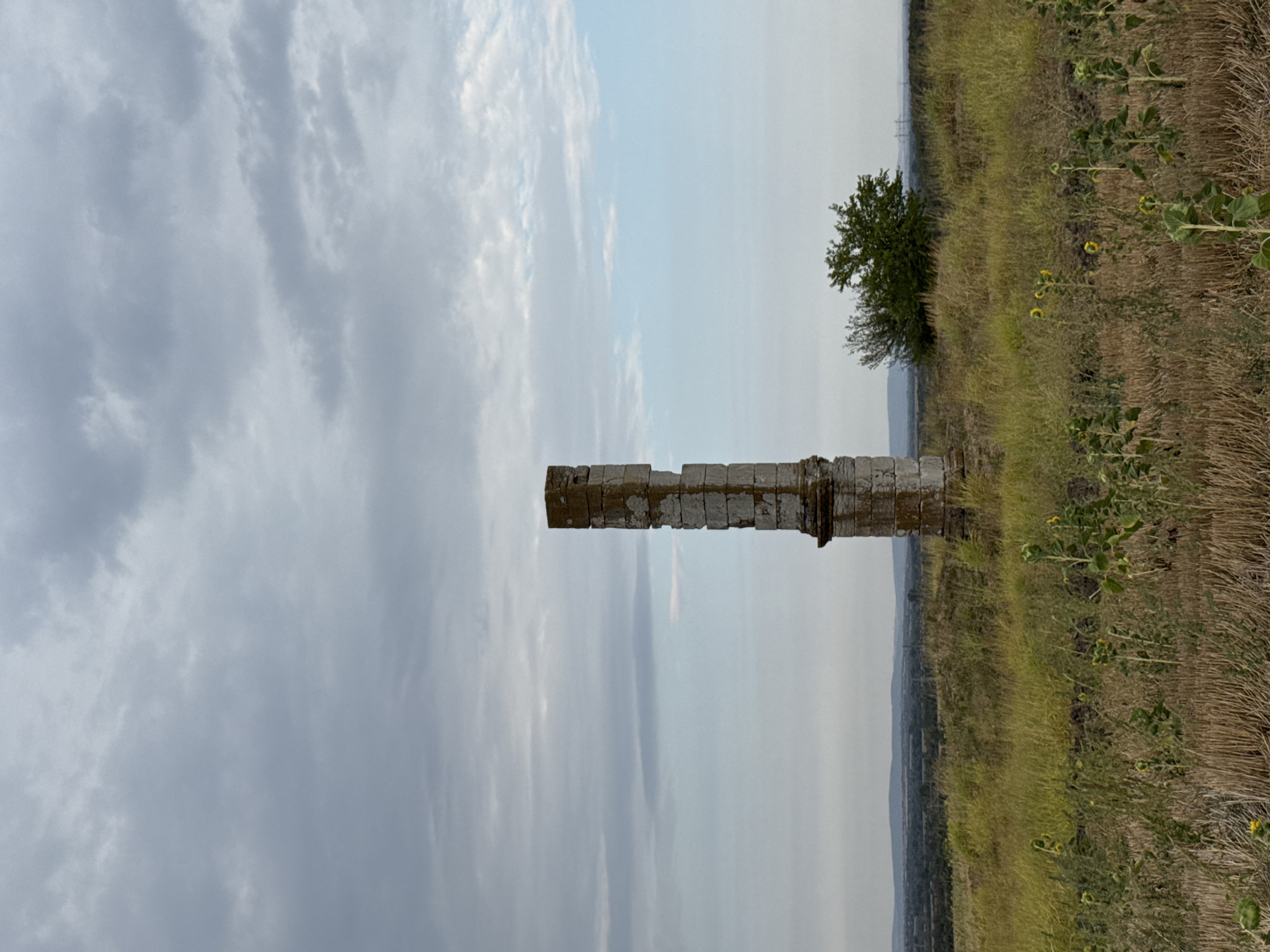 The image captures a lone, weathered stone column standing in a field of dry grass and sunflowers, with a backdrop of rolling hills under a cloudy sky. The column, which appears to be a remnant of an ancient structure, is positioned centrally in the frame. Its surface shows signs of erosion and is composed of rough-hewn stone blocks stacked upon one another. In the middle ground, a cluster of trees is visible to the right of the column, with a hazy, distant landscape of hills and vegetation beyond. The foreground is dominated by dry, cut stalks of straw and scattered sunflowers, some in bloom, others with developing seed heads. The sky is overcast with a mix of gray and lighter, diffused clouds, suggesting a partly cloudy or potentially stormy day. The overall scene evokes a sense of history, desolation, and the passage of time. The location is identified as Lesicheri, Bulgaria.