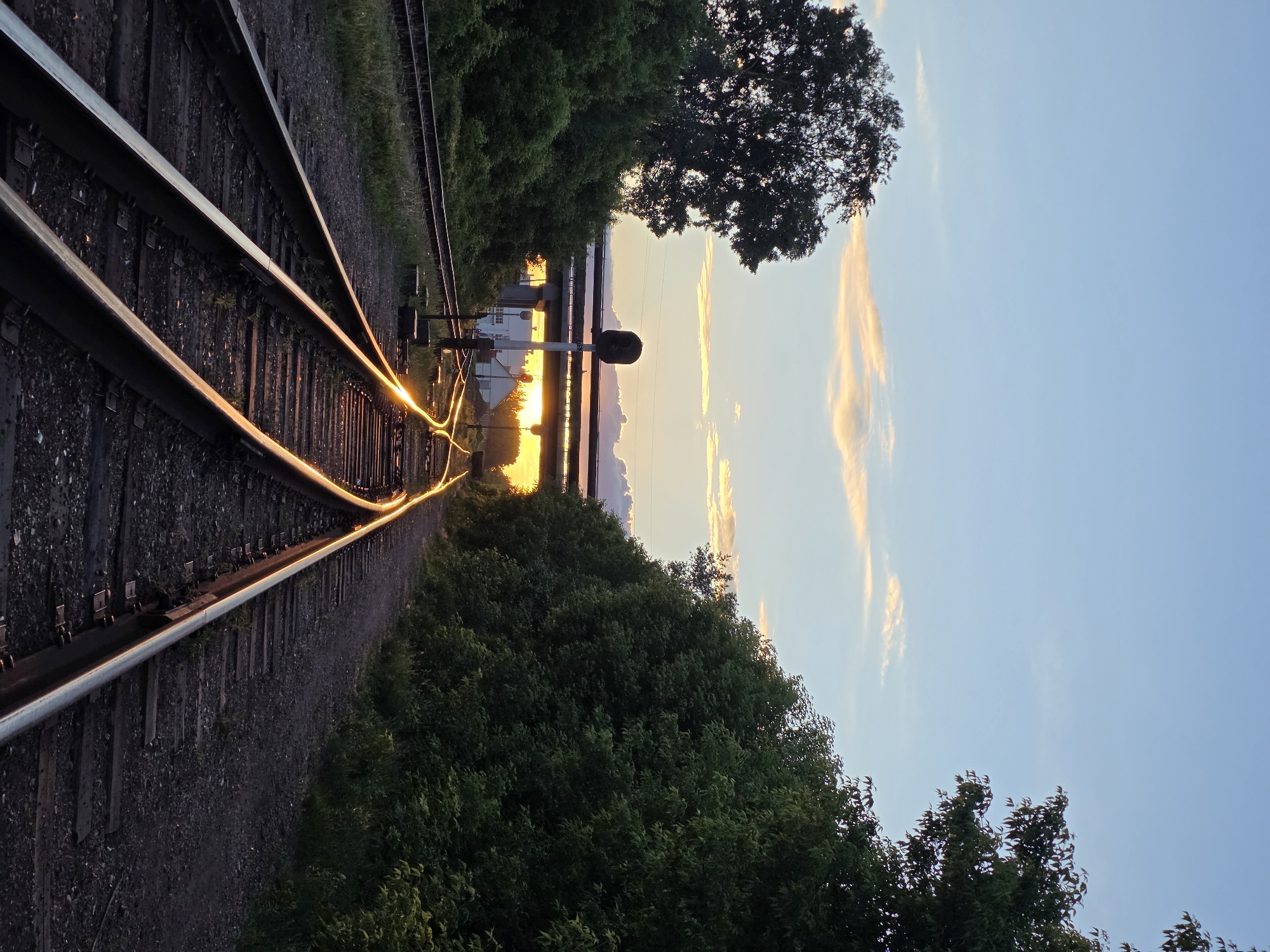 The image presents a serene sunset scene viewed along a set of railway tracks in Chaikovsky, Russia. In the foreground, multiple railway tracks curve gently, their metal rails brilliantly reflecting the golden light of the setting sun, creating a striking glow that follows the lines of the track. The tracks are laid on dark gravel ballast and wooden ties.
Along the immediate left of the tracks, a dense stretch of green trees and bushes lines the railway, extending into the mid-ground. Further along the tracks, a railway switch mechanism or signal post is visible. Beyond the foliage and tracks, a wide body of water, likely a river or lake, acts as a reflective surface for the setting sun, showcasing vibrant orange and yellow hues directly above the horizon. A distant, light-colored building is faintly discernible on the opposite shore, partially silhouetted against the bright glow.
The sky, particularly on the right side of the frame, transitions from a deep blue at the top to softer blues, oranges, and pinks near the horizon, where wispy clouds catch the last light of day. A large, mature tree with dark foliage is prominent in the upper left, its silhouette contributing to the atmospheric perspective. The scene evokes a sense of peacefulness and the quiet beauty of twilight. No people or visible text are present in the media file.