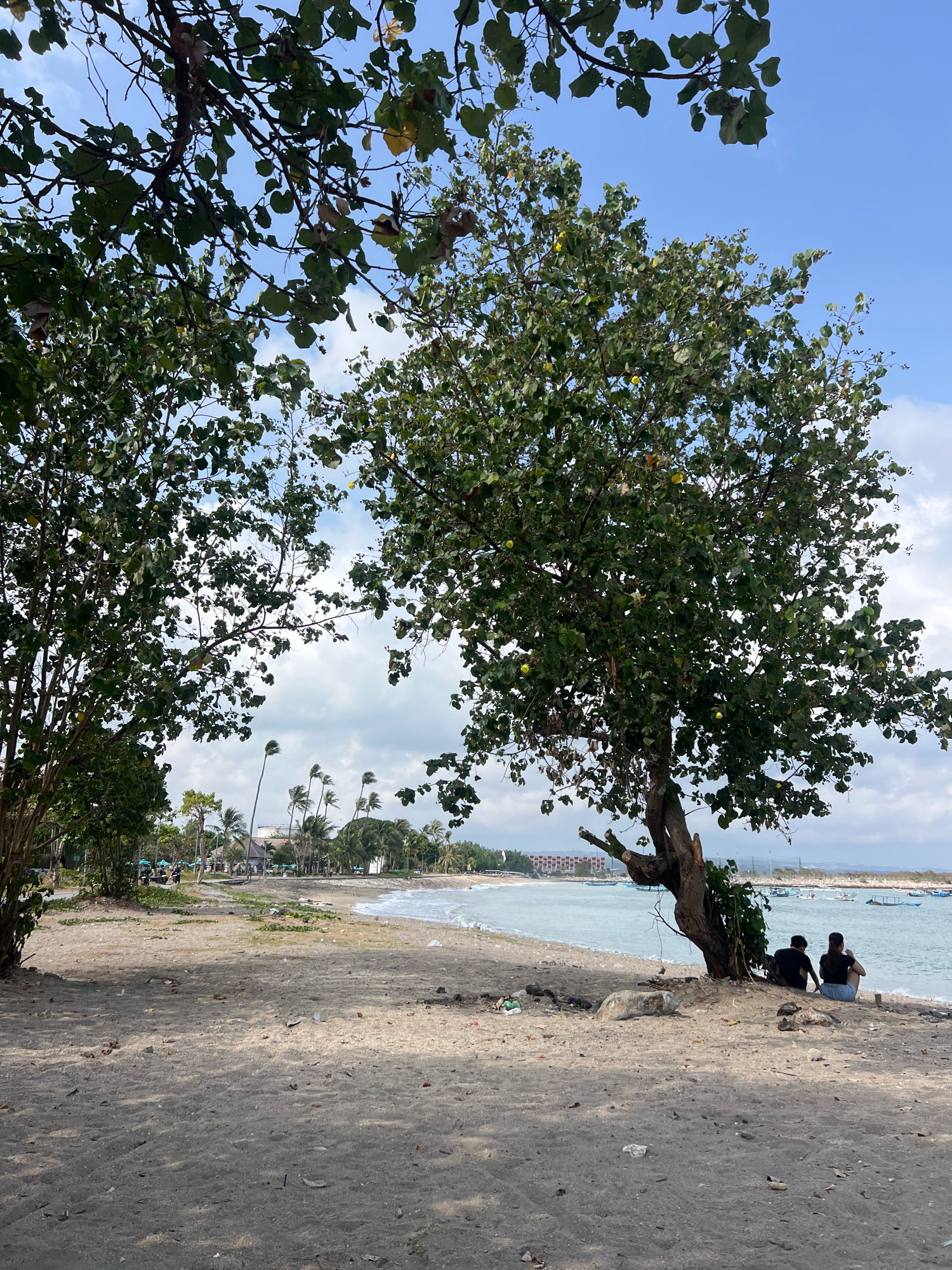 The image depicts a tranquil scene on a sandy beach in Kuta, Indonesia. In the foreground, two individuals are seated on the sand, facing the ocean, with their backs to the camera. They are positioned under the shade of a large, mature tree with lush green foliage and some visible yellow fruits. The sand is a light brown color and scattered with small pebbles and dried leaves.
The middle ground of the image features the gentle waves of the ocean lapping against the shore. Further out, several small boats are anchored in the calm water. Beyond the beach, a line of palm trees and other tropical vegetation can be seen, creating a verdant backdrop. In the distance, a few buildings, possibly hotels or resorts, are visible. The sky above is a clear blue, with a few scattered white clouds. The overall impression is one of peaceful relaxation and natural beauty.
