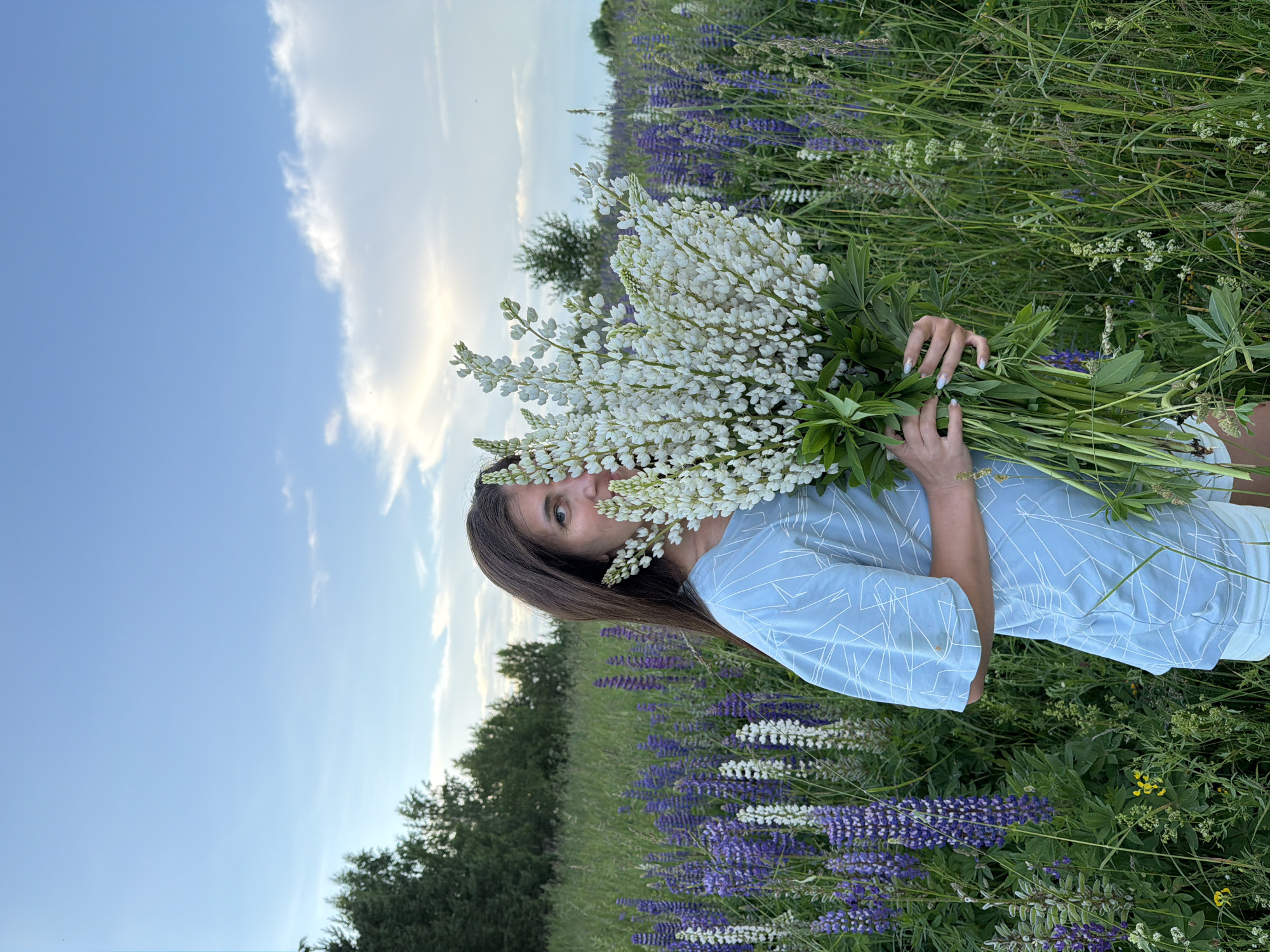 A young woman stands in a field of lupine flowers, holding a large bouquet of white lupine. The field is filled with tall green grass and purple lupine flowers. The sky is blue with some clouds. The woman is wearing a light blue t-shirt and white shorts. Her face is partially obscured by the bouquet of flowers. The image was taken in the city of Vassyata, Russia.