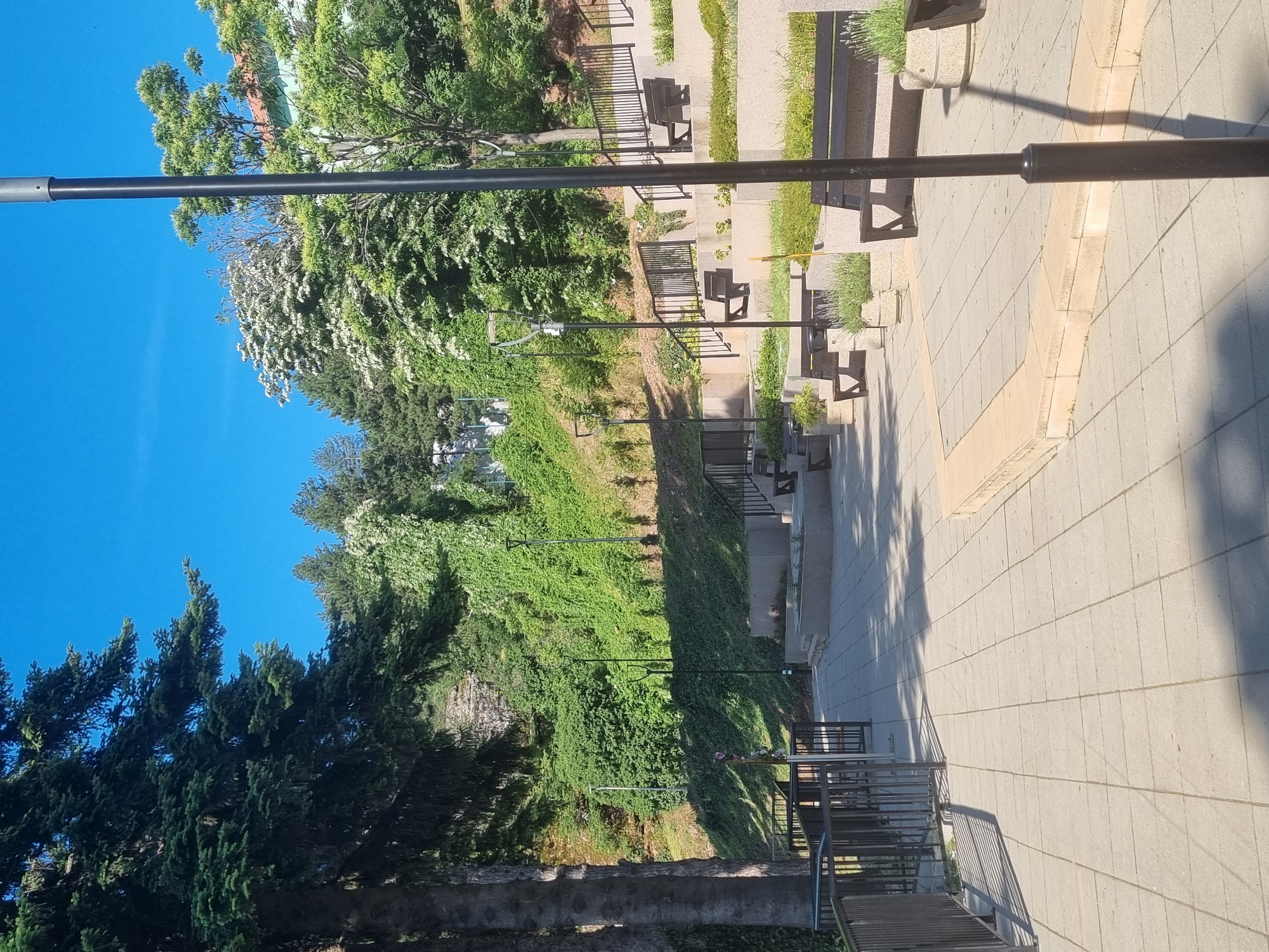The image shows an outdoor park area on a sunny day, featuring a tiered design with paved walkways, concrete benches, and metal railings. Lush green vegetation covers a hillside in the background, with several trees, including a prominent evergreen on the left, and flowering trees with white blossoms. There are at least three modern streetlights with square tops visible. The scene appears to be a public space designed for relaxation and enjoyment, possibly a park or a plaza. The location is identified as Belogradchik, Bulgaria.