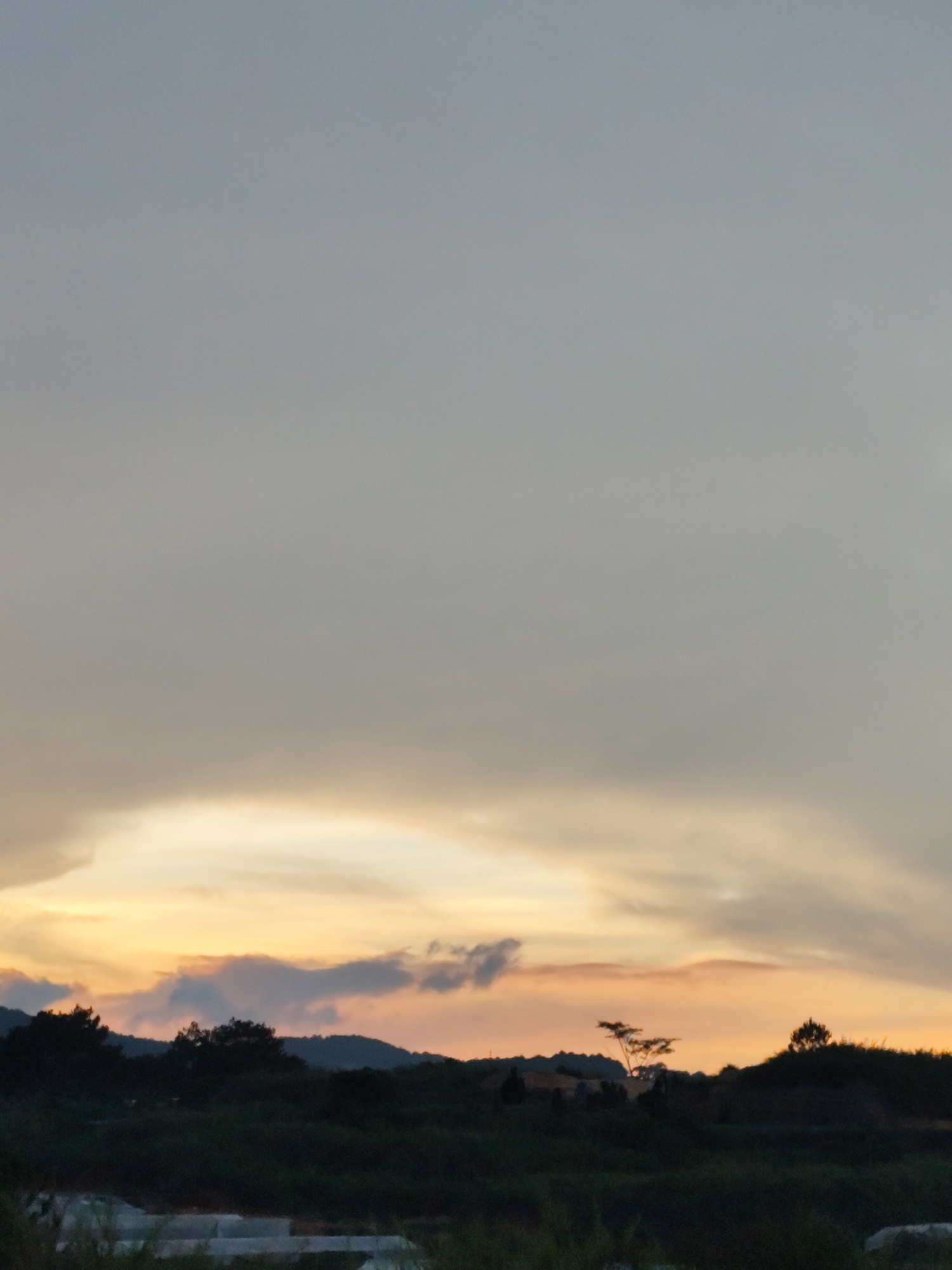 The image captures a late afternoon scene near Da Lat, Vietnam. The sky is predominantly overcast, with a low-hanging layer of clouds that transition from gray to a band of warm orange hues near the horizon. Below the horizon line, there is a silhouette of trees and small hills, indicating a landscape that is either undeveloped or farmland. In the foreground, there is a flat, likely agricultural area with what appears to be low-lying vegetation and some reflective surfaces, potentially greenhouse coverings or water. No people are visible in the image.