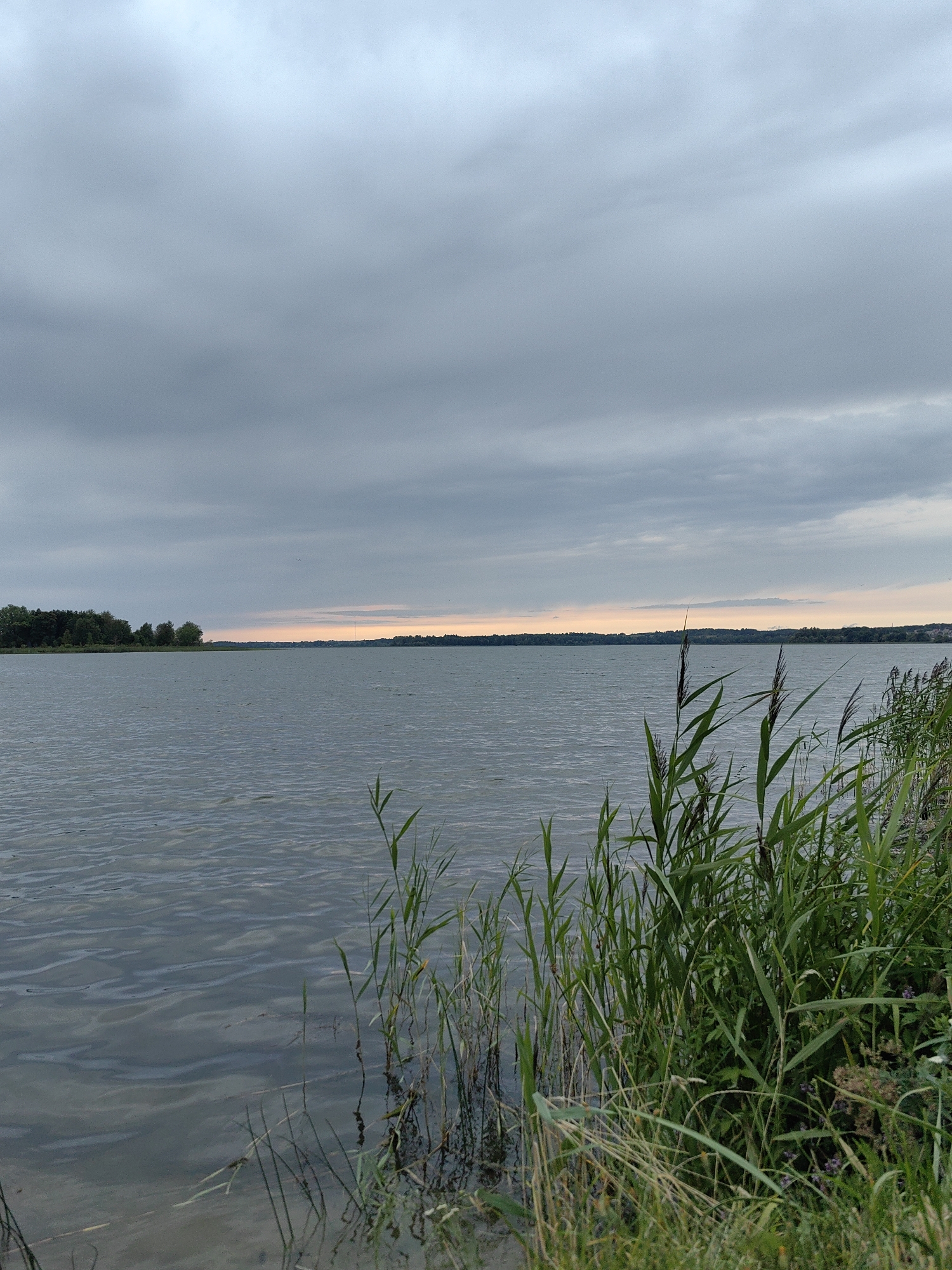 This is a vertical, eye-level, medium shot of a lake at dusk. The sky is overcast with gray clouds. The lake water is dark and choppy, with small waves. On the right side of the image, tall green reeds and grass grow along the shoreline. In the distance, a tree line can be seen across the lake, and beyond that, a hazy horizon. The location is the Braslav Lakes National Park, near Myadzyel, Belarus. There are no people or animals visible in the image. The overall mood is serene and slightly melancholic due to the overcast sky and approaching evening.
