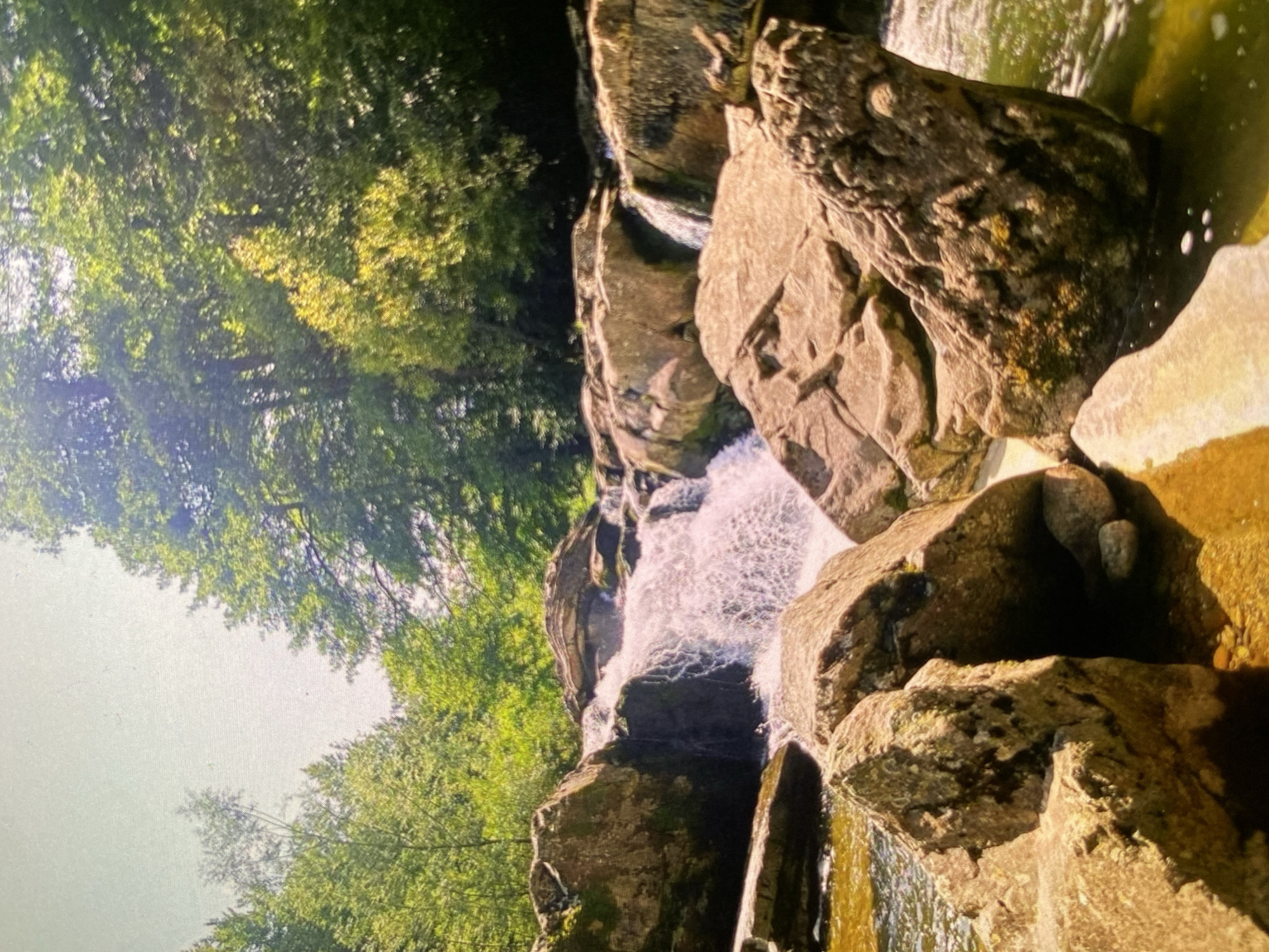 The image, oriented vertically, captures a vibrant natural scene featuring a cascading waterfall amidst large rocks and lush greenery. The setting is an outdoor, possibly forested, environment, consistent with the provided location context of Bankya, Bulgaria.
In the center of the frame, a multi-tiered waterfall tumbles over various rock formations, creating white foamy splashes as the water descends. The water appears clear, with reflections of light on its surface. Large, textured boulders dominate the foreground and midground, some covered with patches of moss or algae, suggesting a damp, natural habitat. The rocks exhibit various shades of brown and gray, with sunlit areas appearing lighter and warmer.
To the left and stretching across the top of the image are dense canopies of trees with bright green foliage, indicating healthy vegetation. Sunlight filters through the leaves, creating dappled patterns of light and shadow, particularly visible in the upper left crop. The overall lighting is bright and natural, suggesting a clear sunny day, likely mid-morning or early afternoon, given the intensity and direction of the light. A small patch of bright sky is visible through the tree canopy in the upper left, further confirming clear weather.
No people or man-made structures are visible in the image, emphasizing the untouched natural beauty of the scene. The image conveys a sense of tranquility and the dynamic power of nature. There is no visible text in the image.
